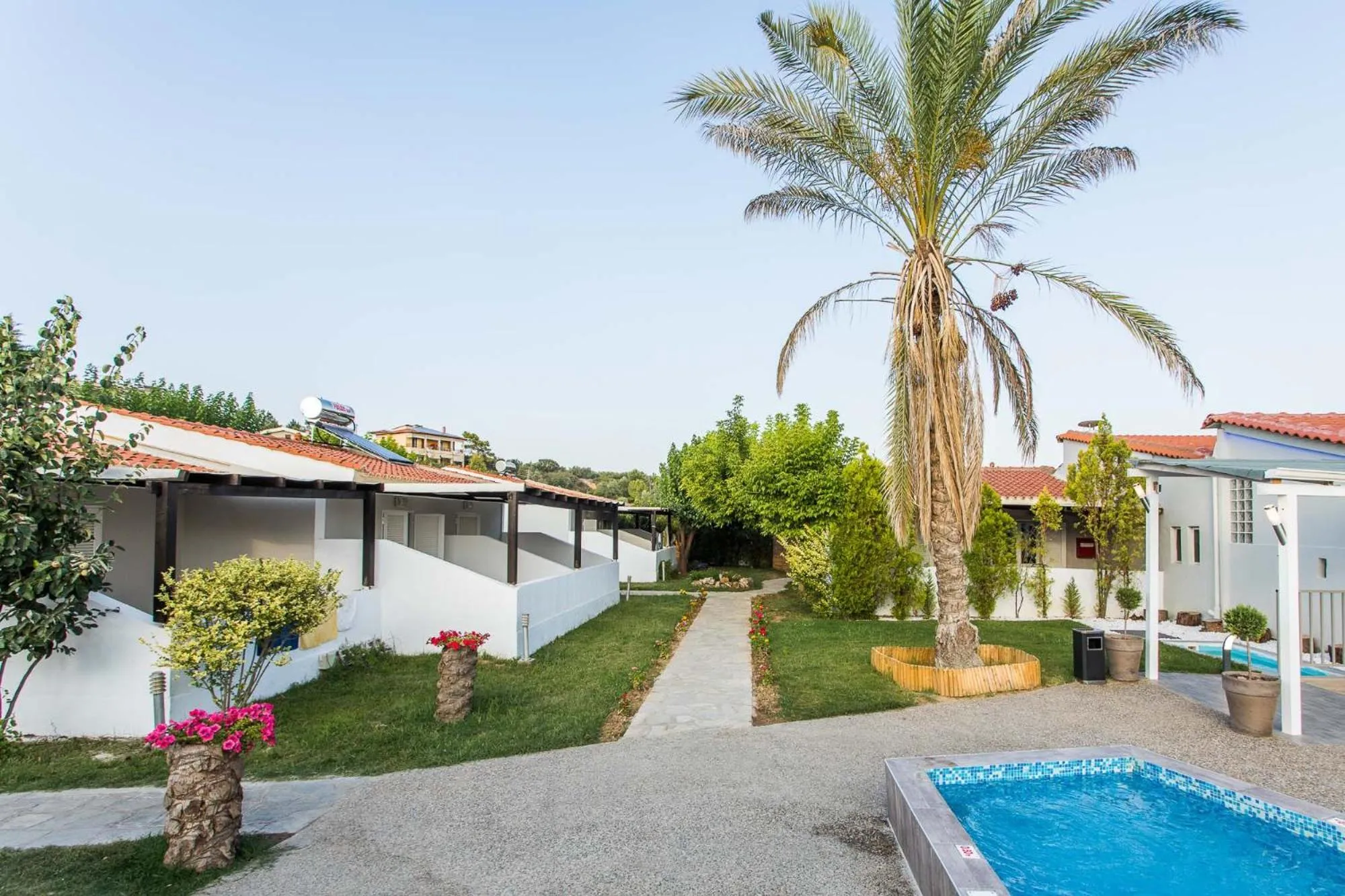 Garden in Coral Blue Beach Hotel Gerakini