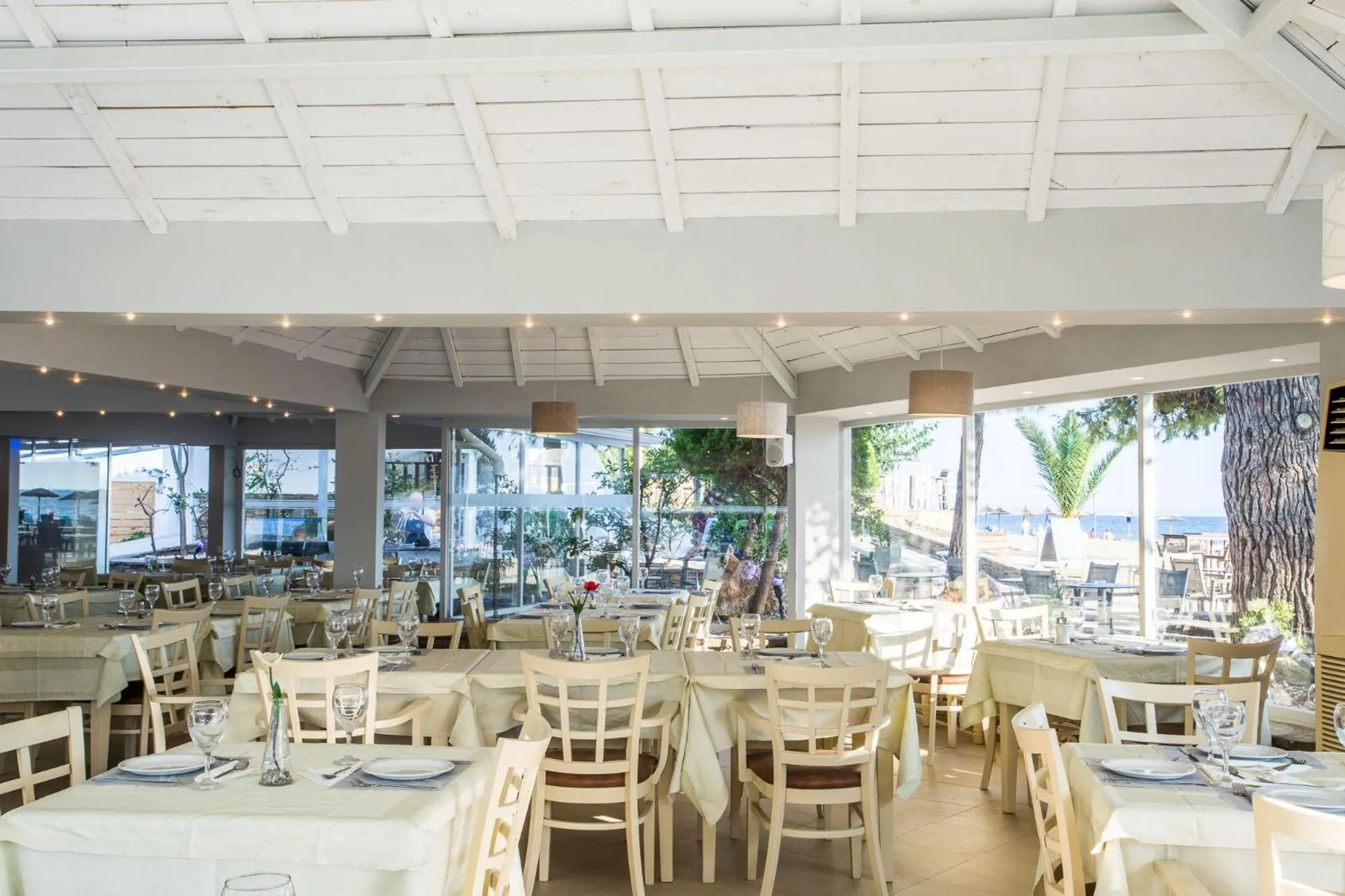 Restaurant/places to eat in Coral Blue Beach Hotel Gerakini