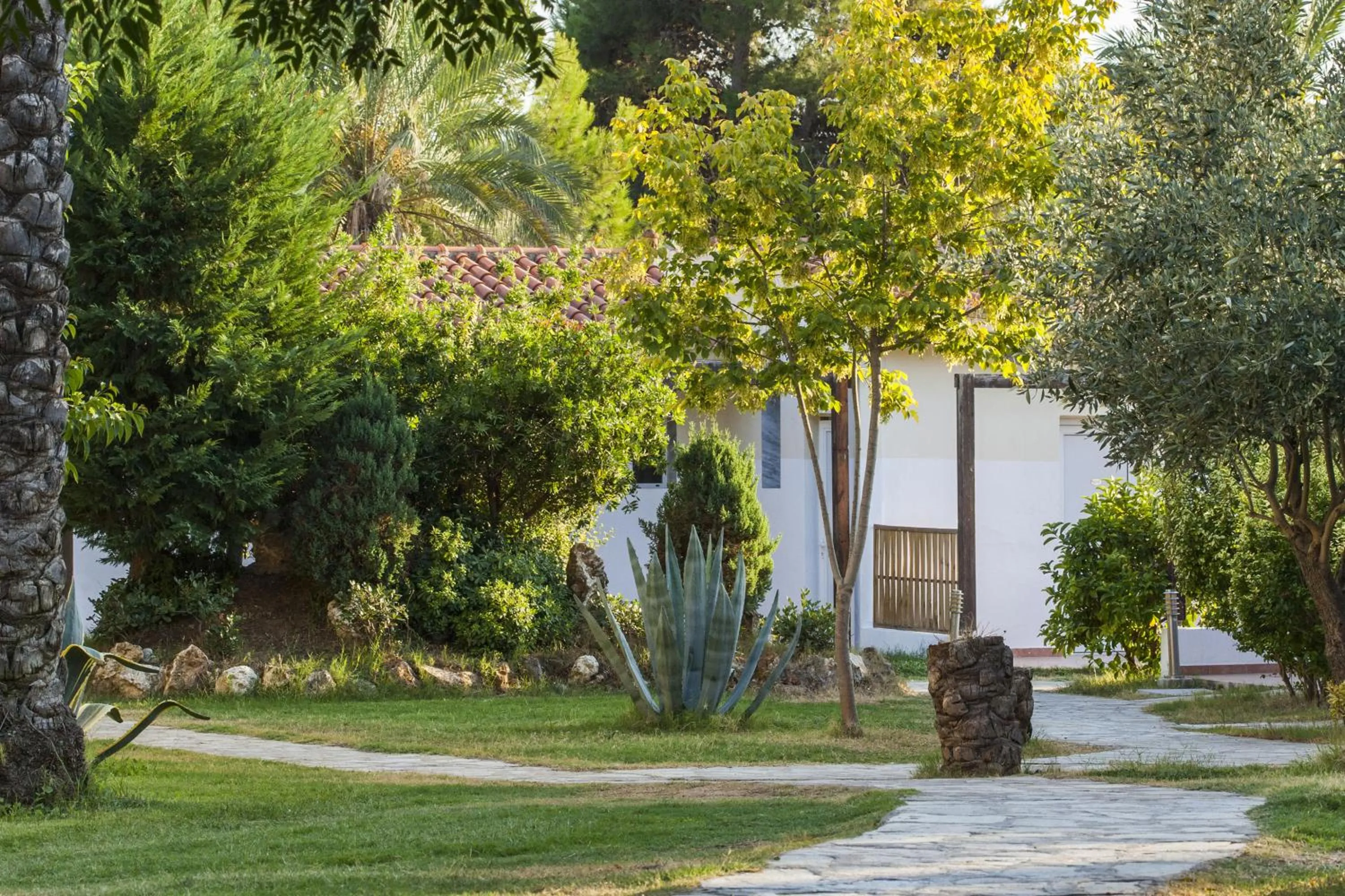 Day in Coral Blue Beach Hotel Gerakini