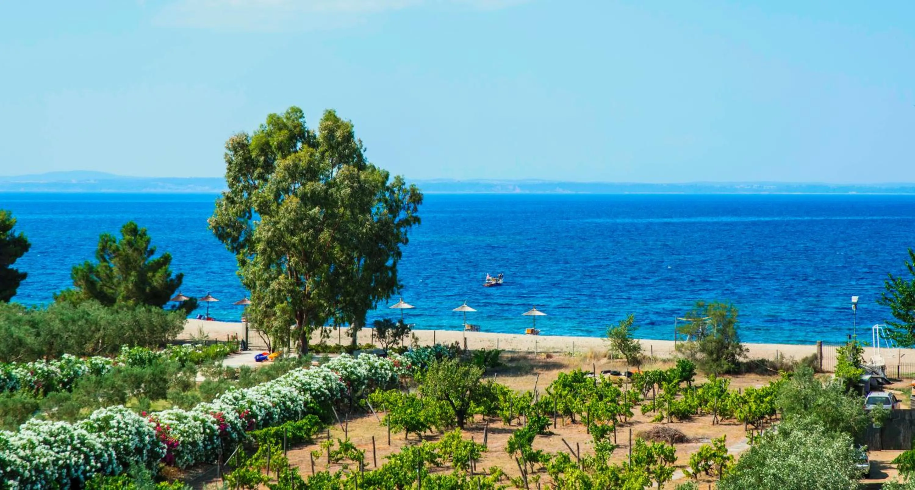 Day in Coral Blue Beach Hotel Gerakini