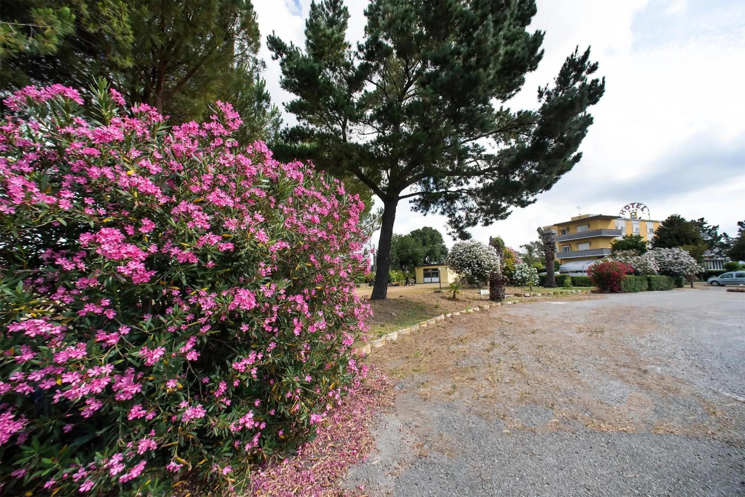 Property building in Hotel Sabatino