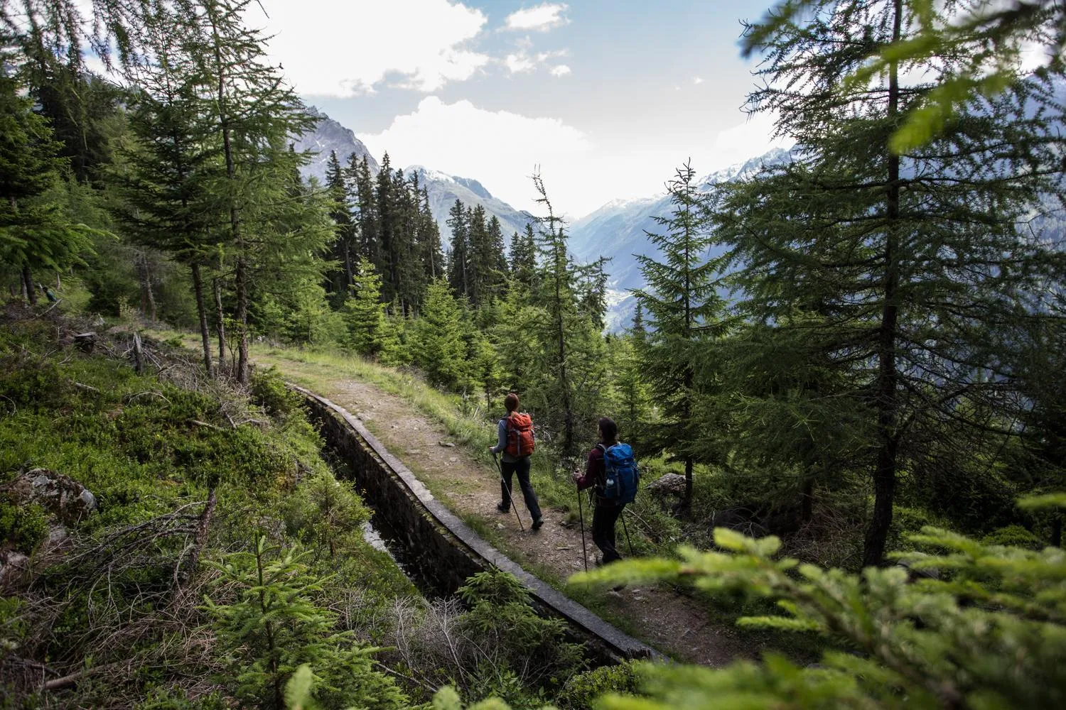 Natural landscape in Hotel Jägerhof