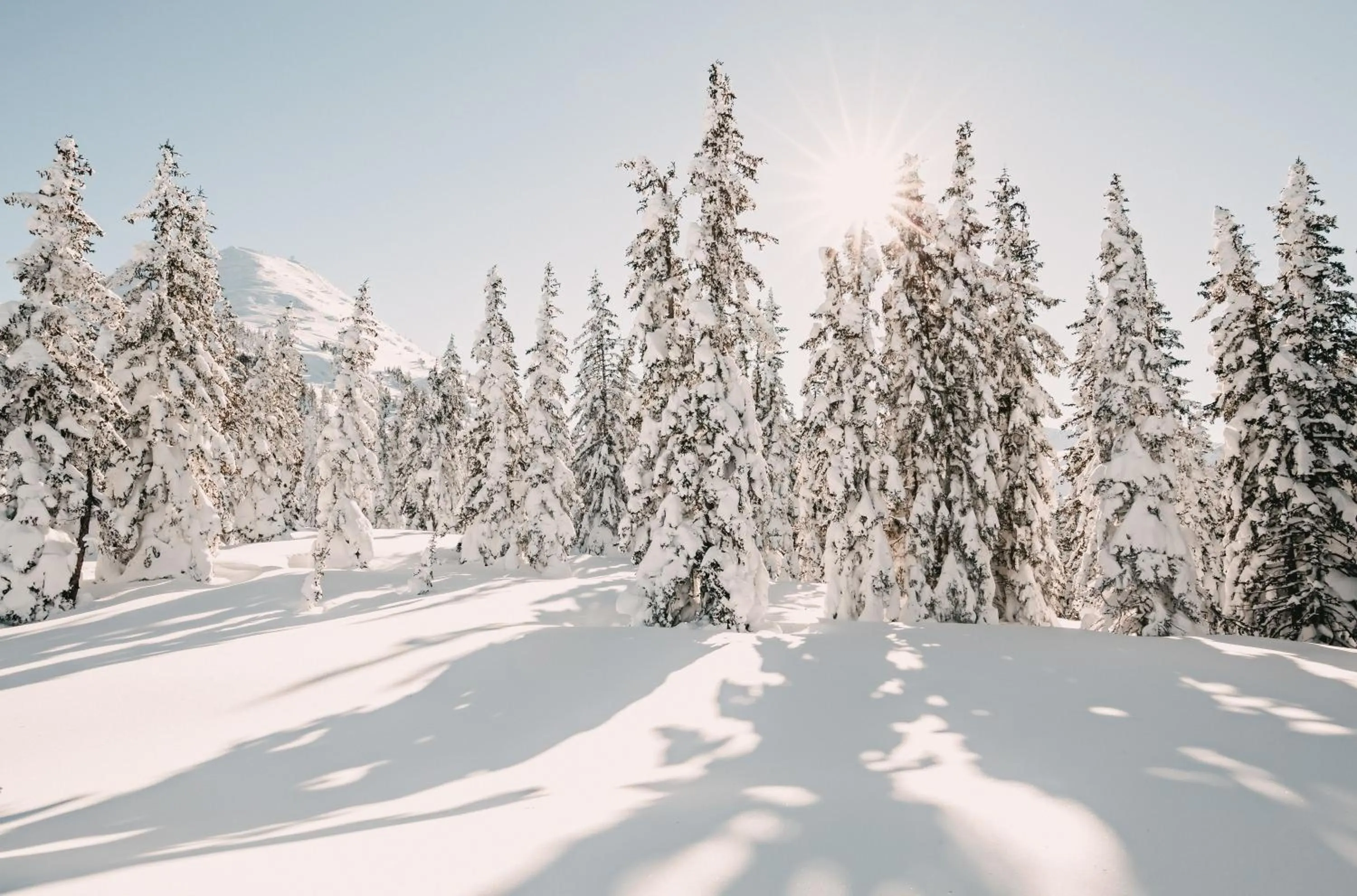 Area and facilities in Posers Bergwelt B&B