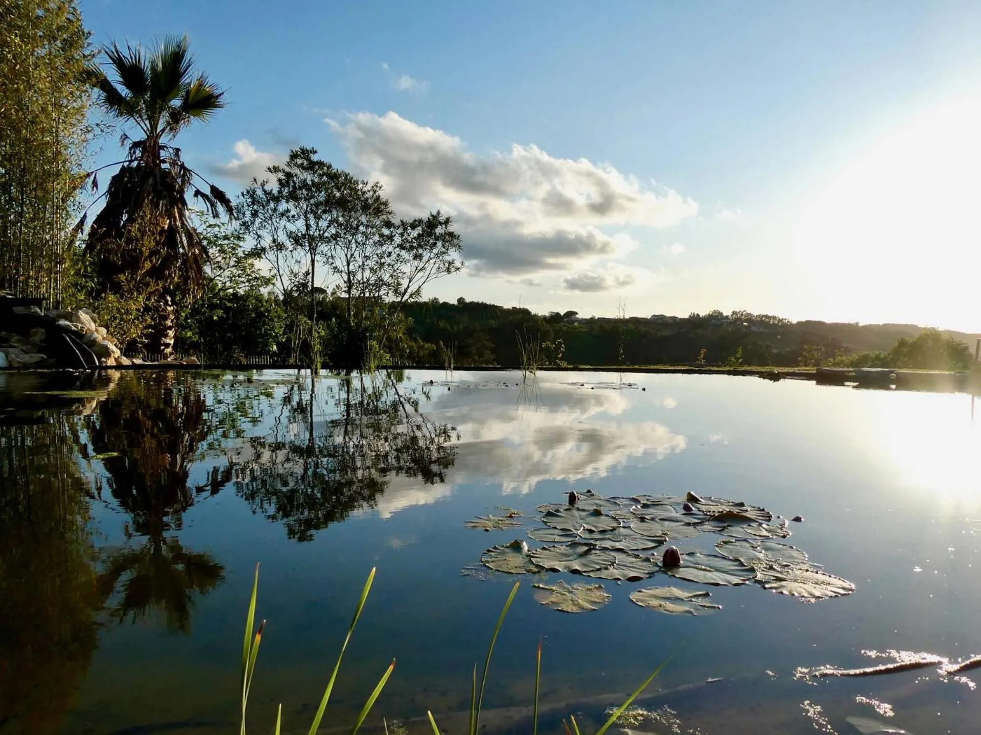 Natural landscape in Vida-Vi, Country House and B&B