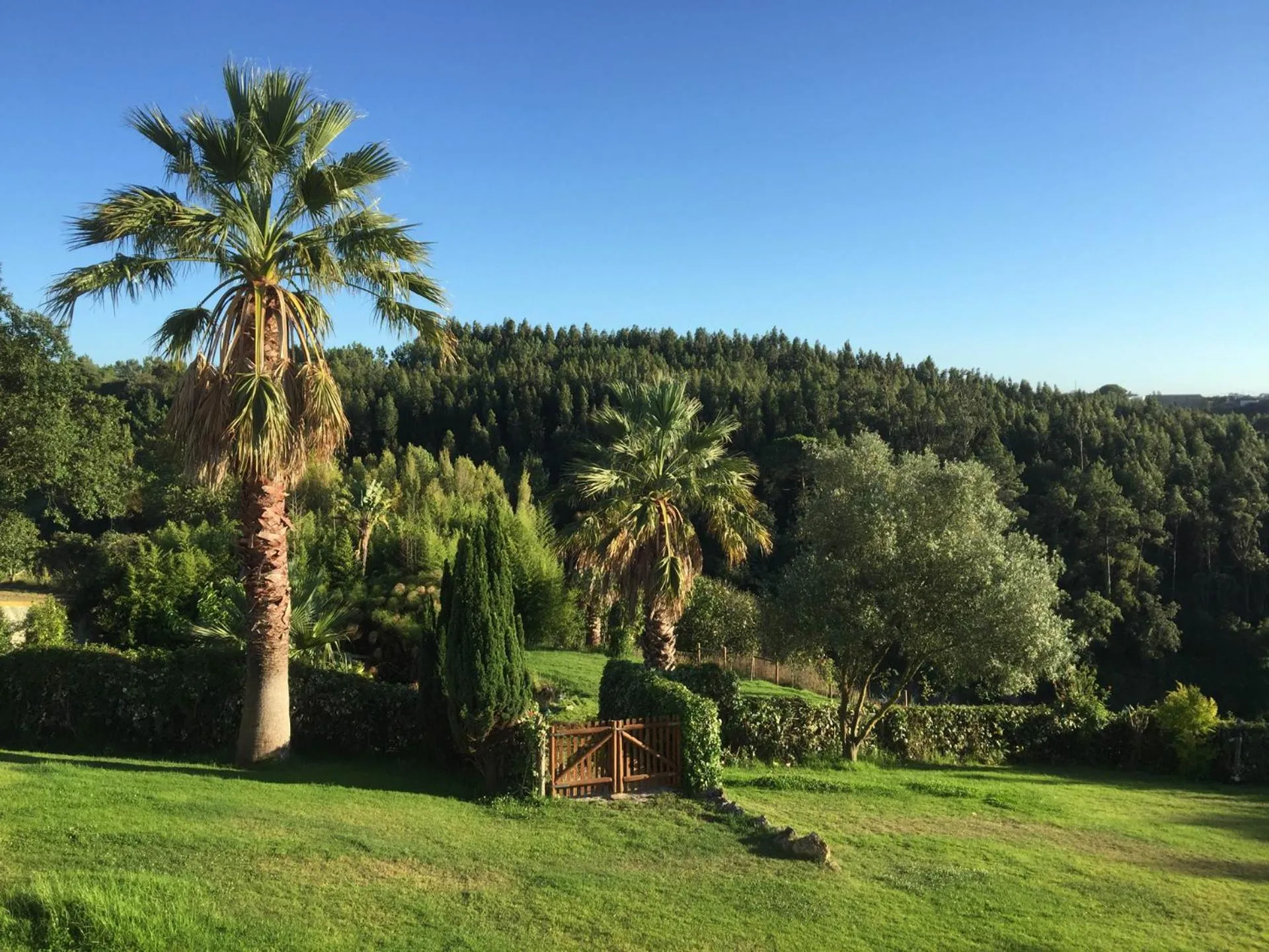 Garden in Vida-Vi, Country House and B&B