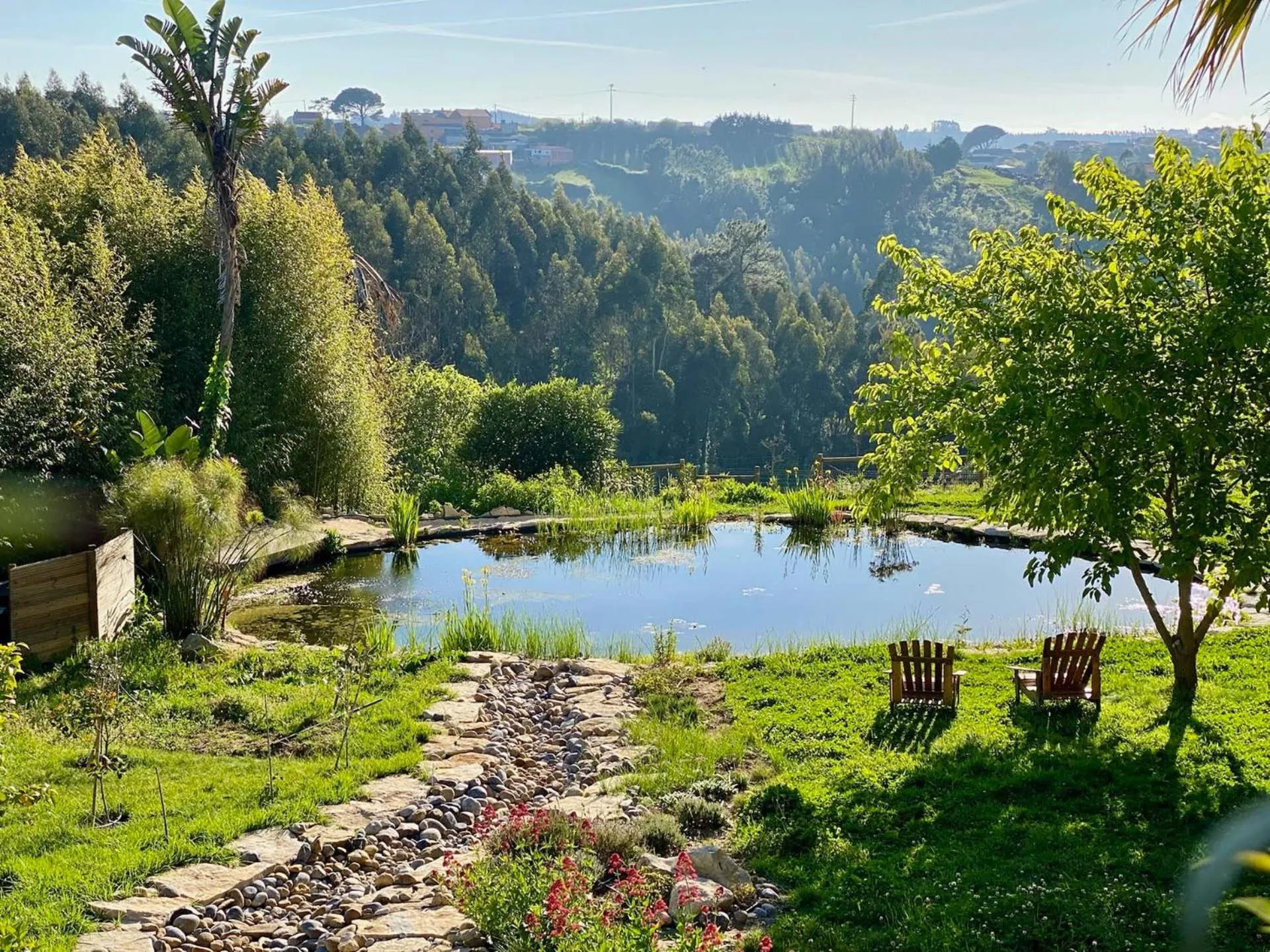 Natural landscape in Vida-Vi, Country House and B&B