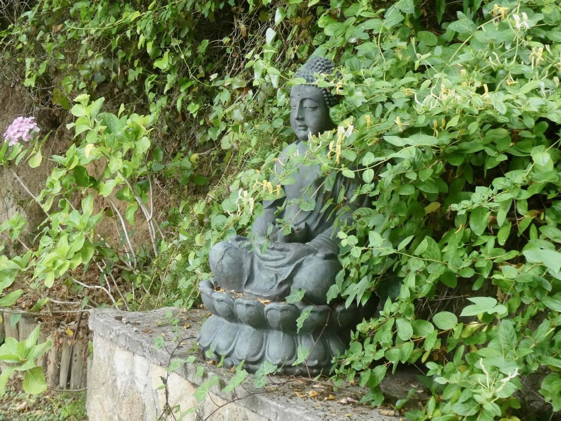 Garden in Vida-Vi, Country House and B&B