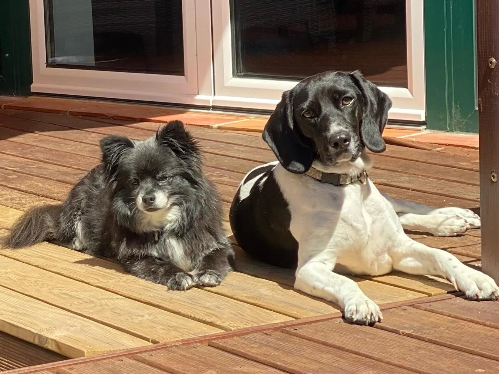 Pets in Vida-Vi, Country House and B&B