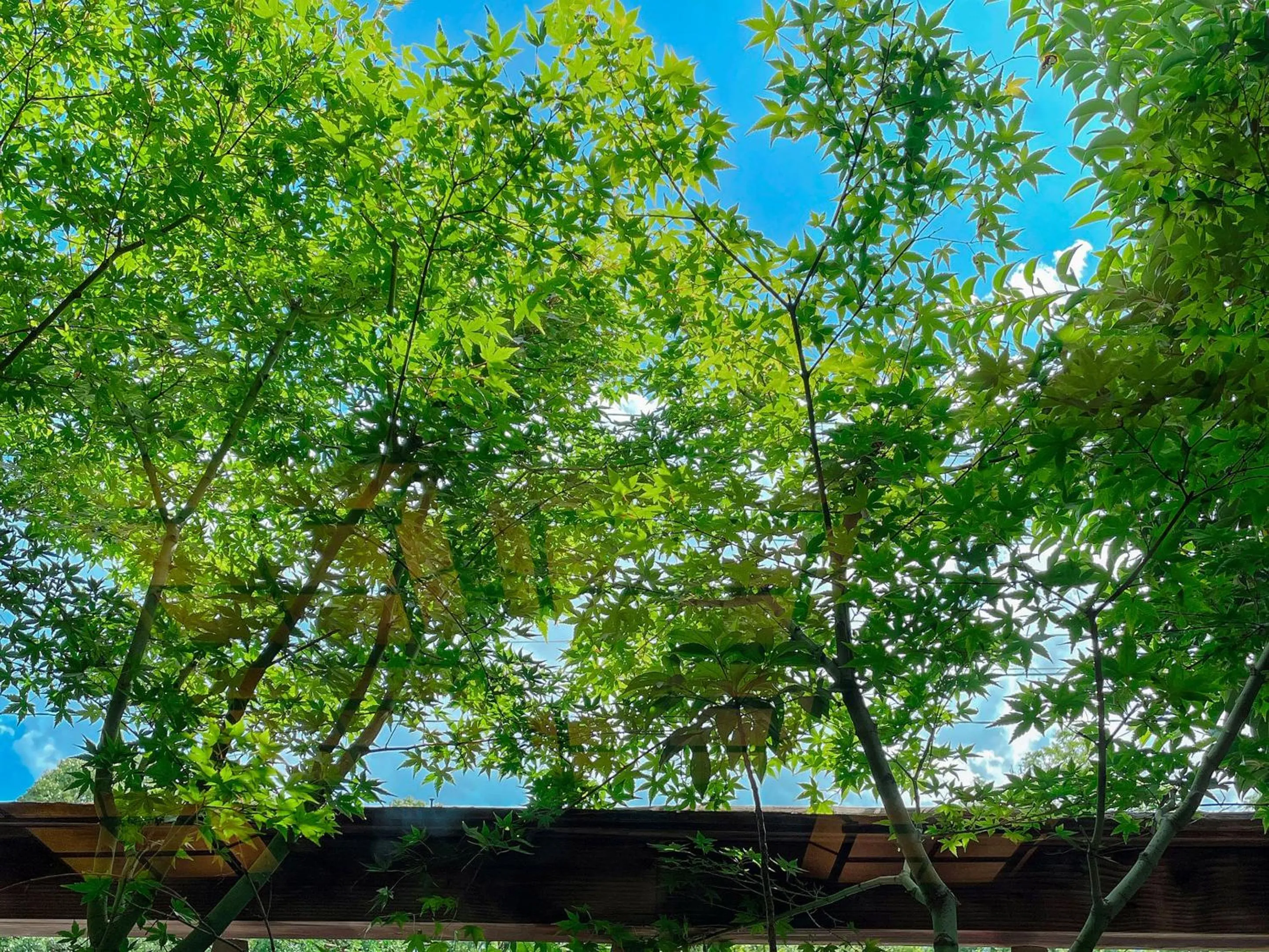 Inner courtyard view in Kappo Ryokan Yumesaki