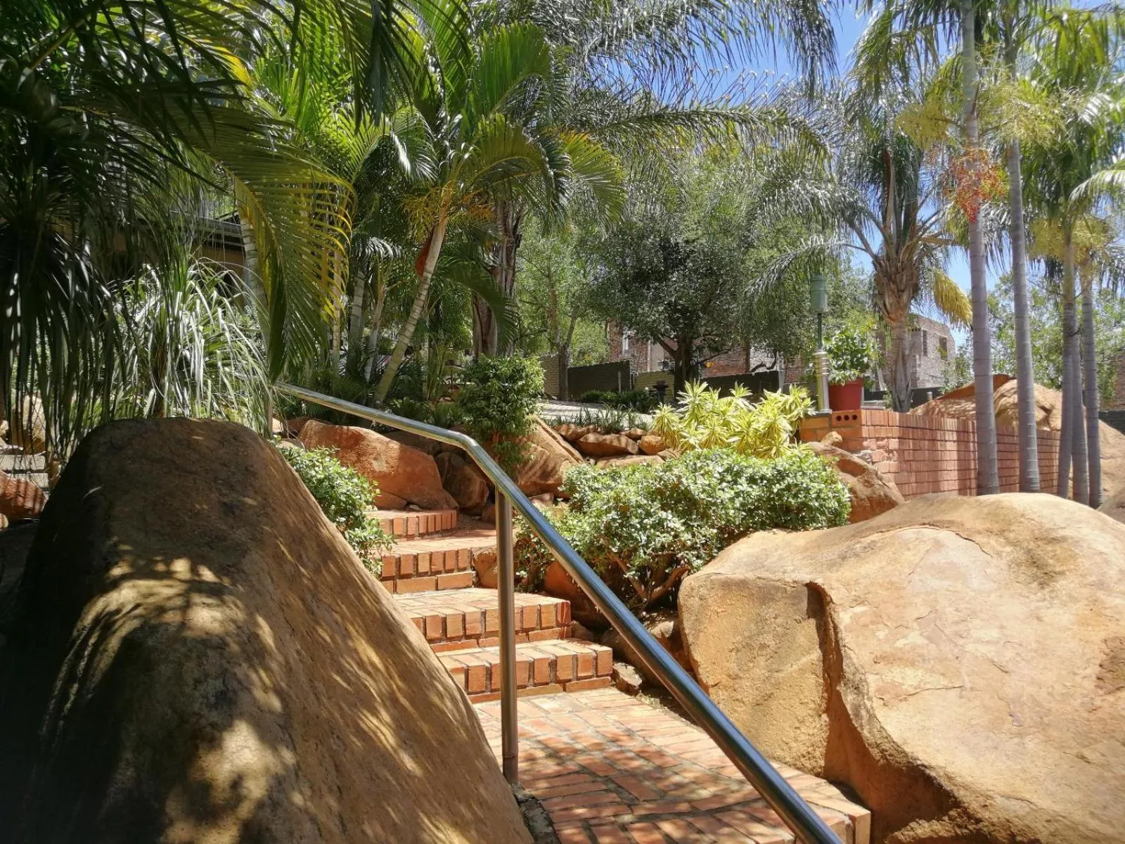 Garden in Meerkat Manor