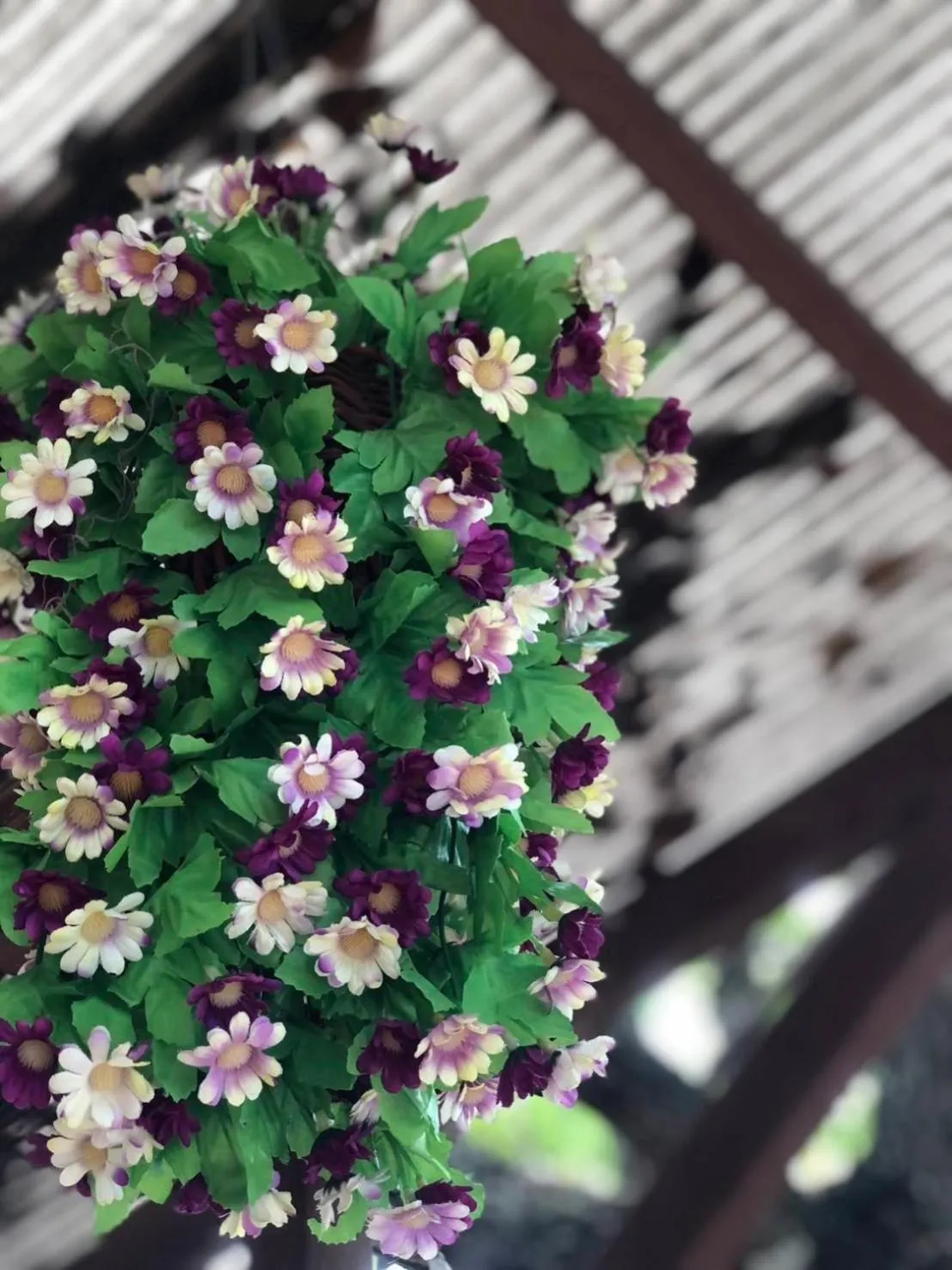 Area and facilities in Khammon Lanna Resort Chiang Mai