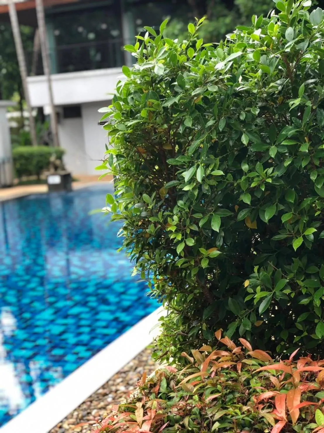 Area and facilities in Khammon Lanna Resort Chiang Mai