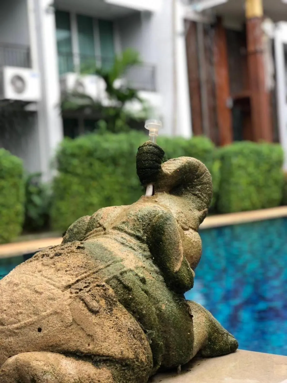 Area and facilities in Khammon Lanna Resort Chiang Mai