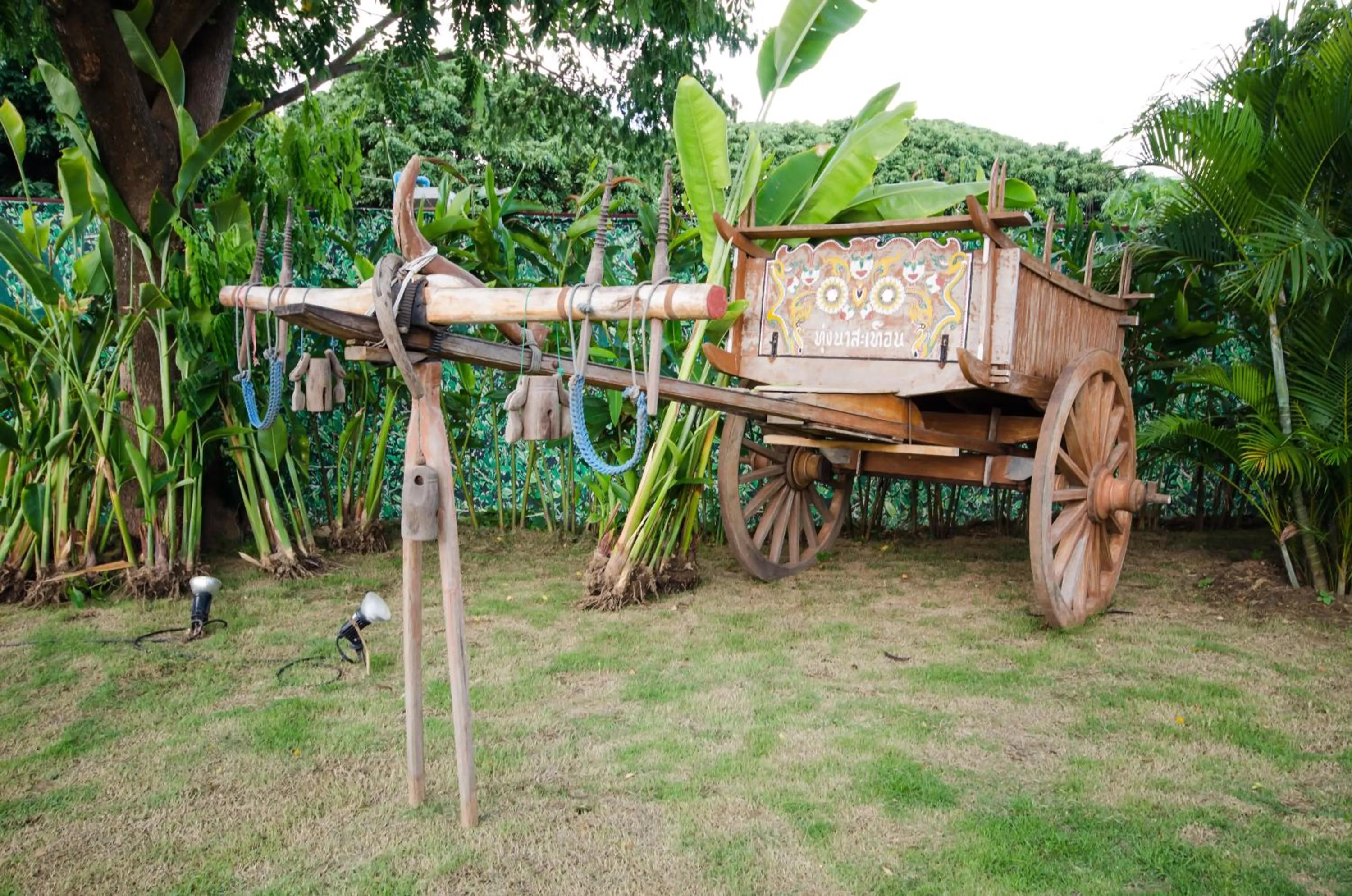 Natural landscape in Khammon Lanna Resort Chiang Mai