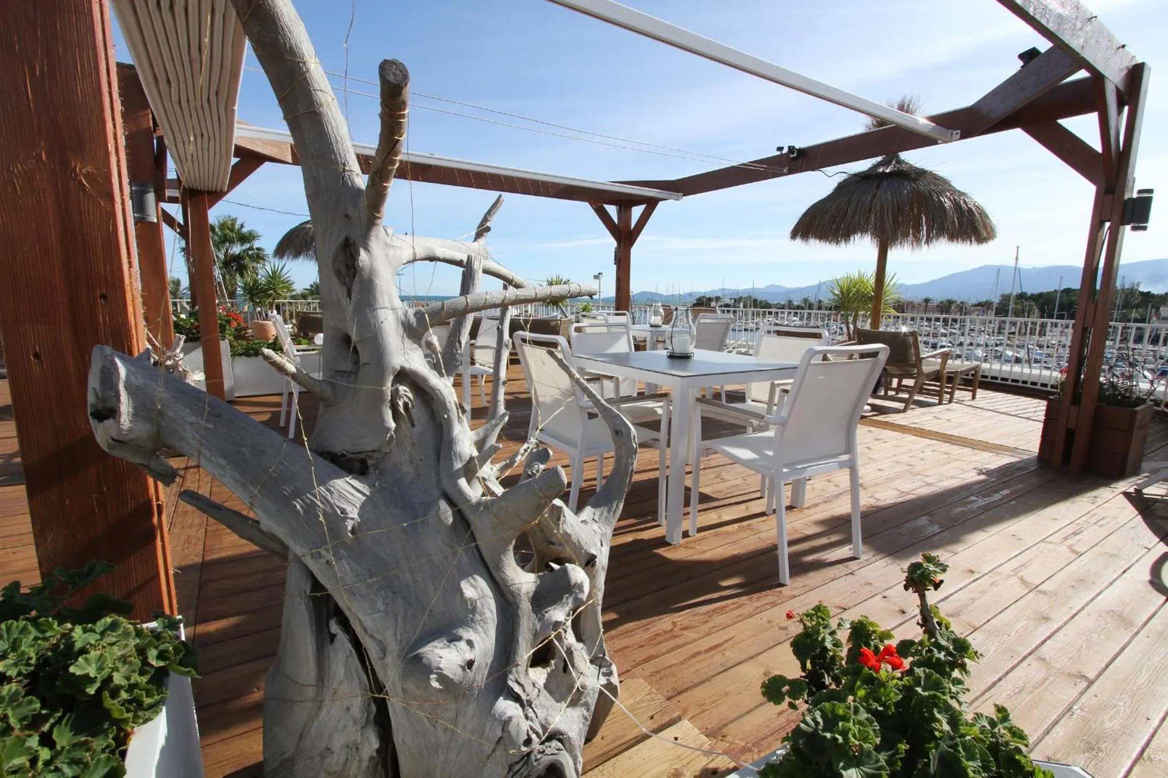 Area and facilities in Bleu Mer Duplex & Suites