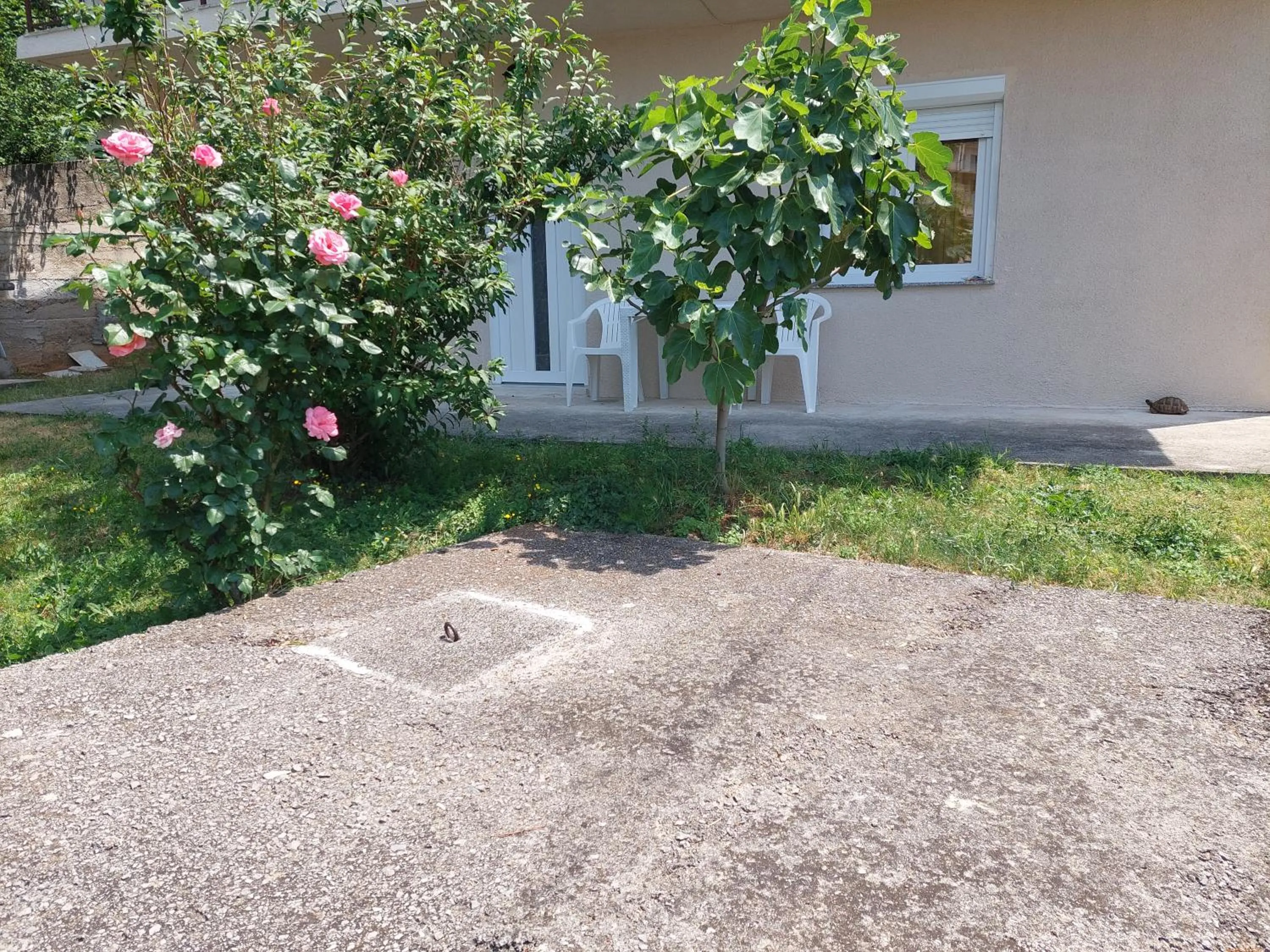 Apartman DANA