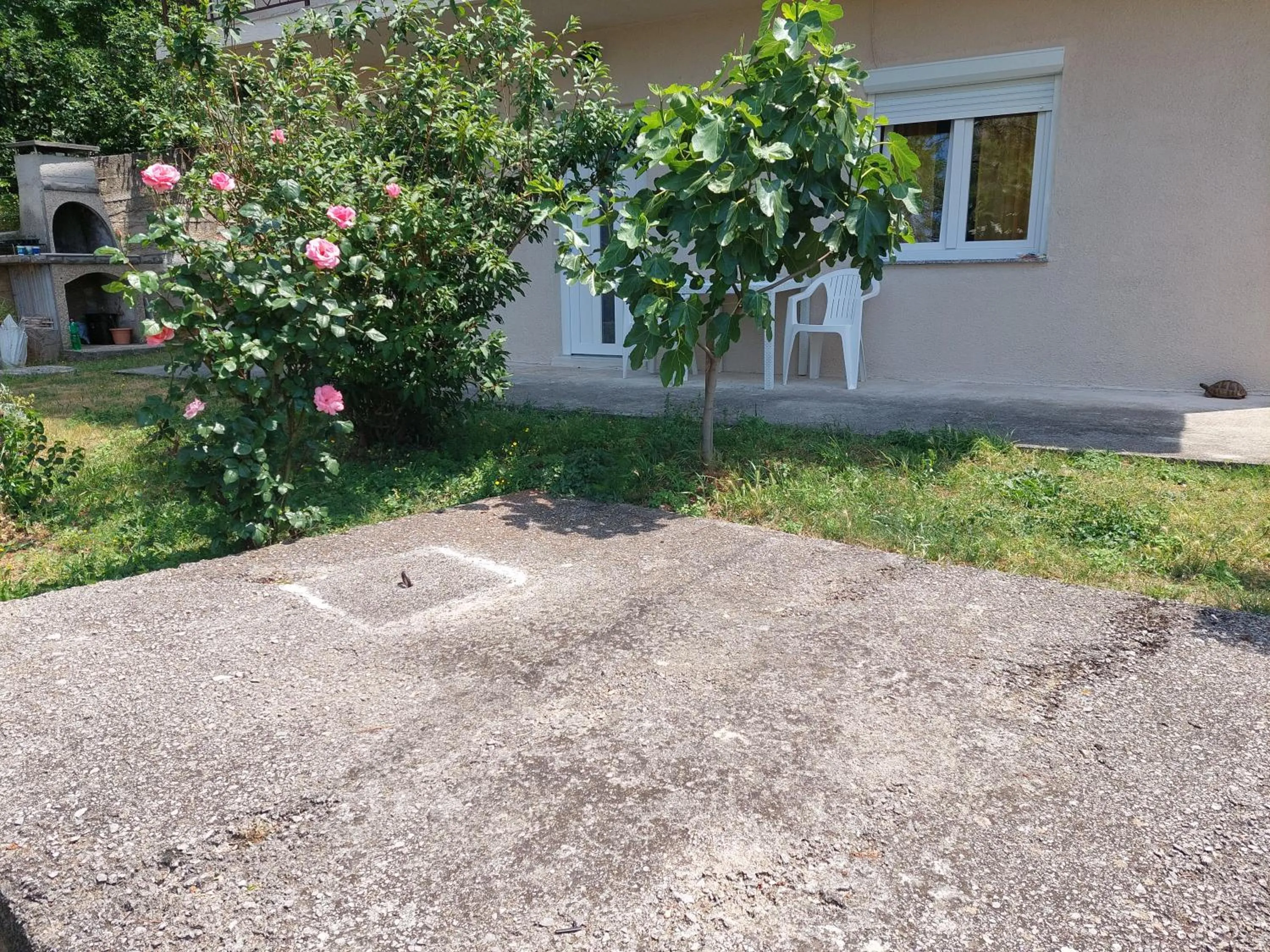 Apartman DANA