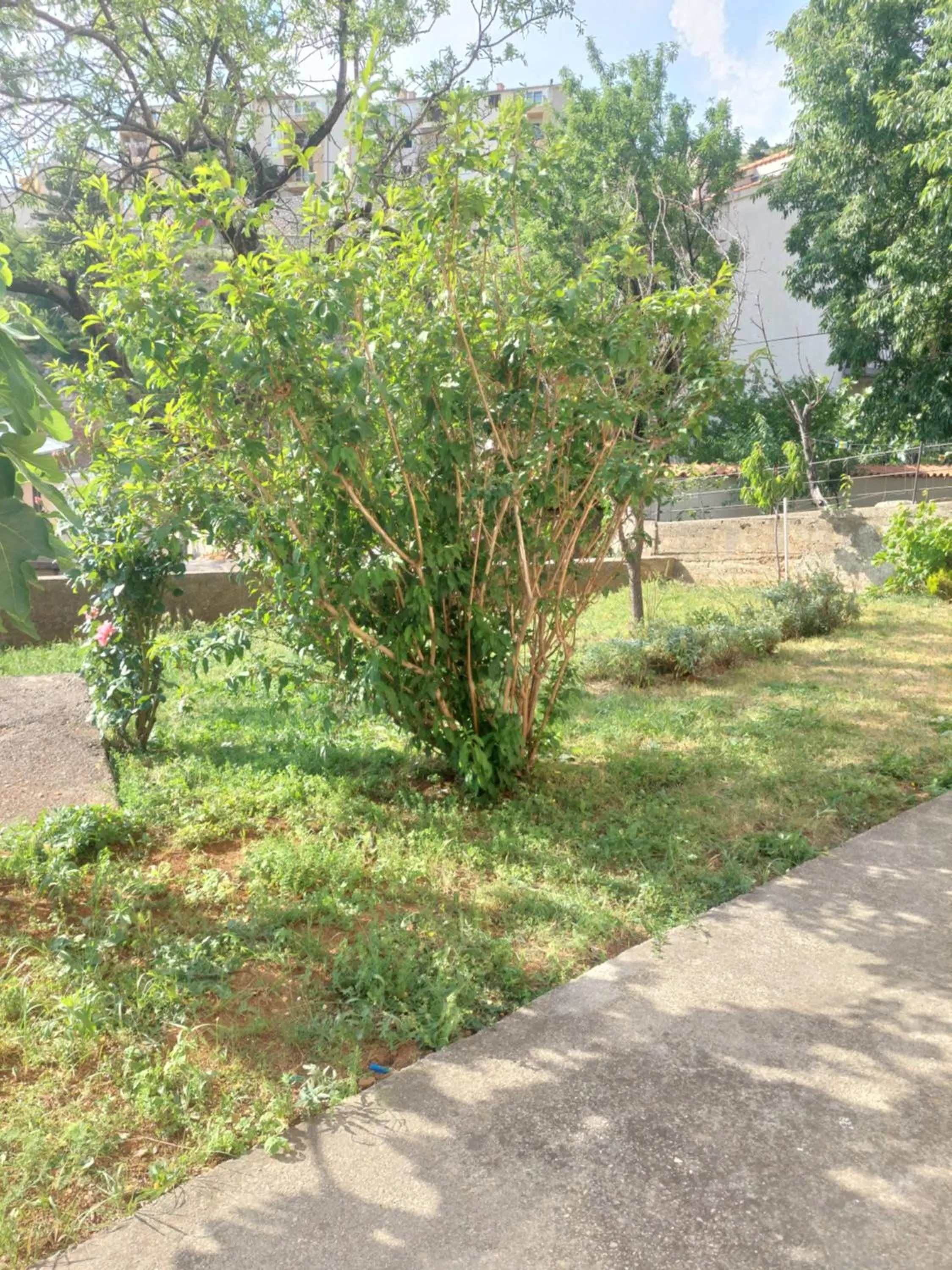 Apartman DANA