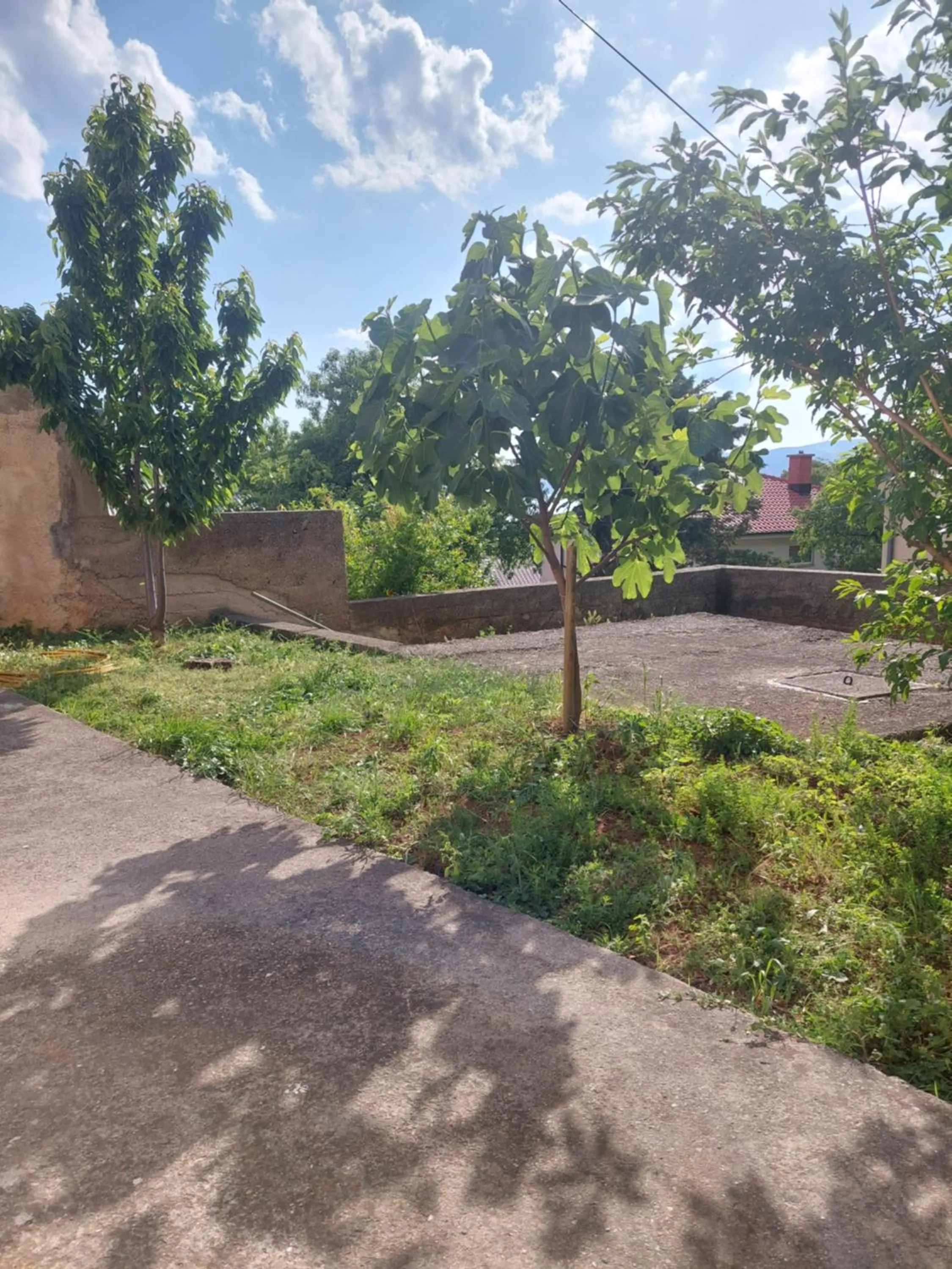 Apartman DANA
