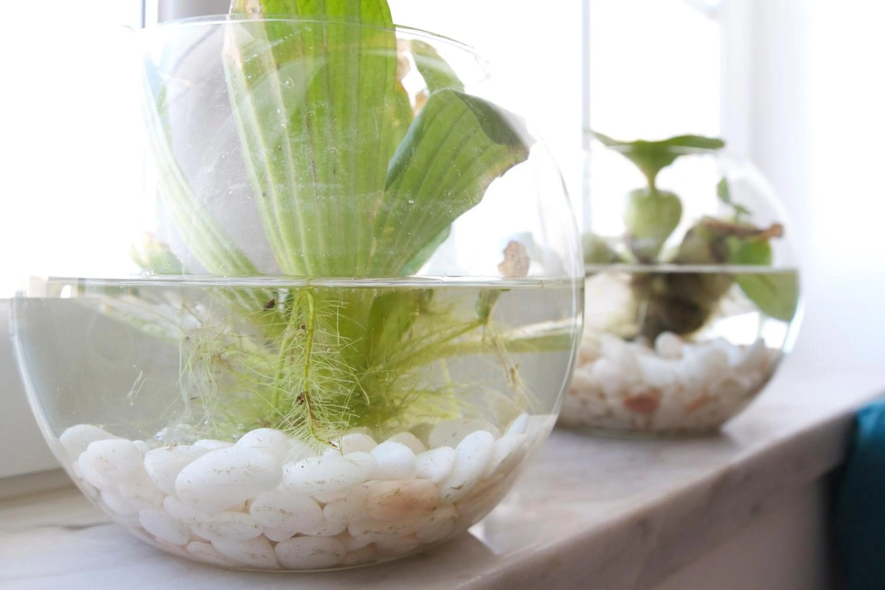 Decorative detail in Green House