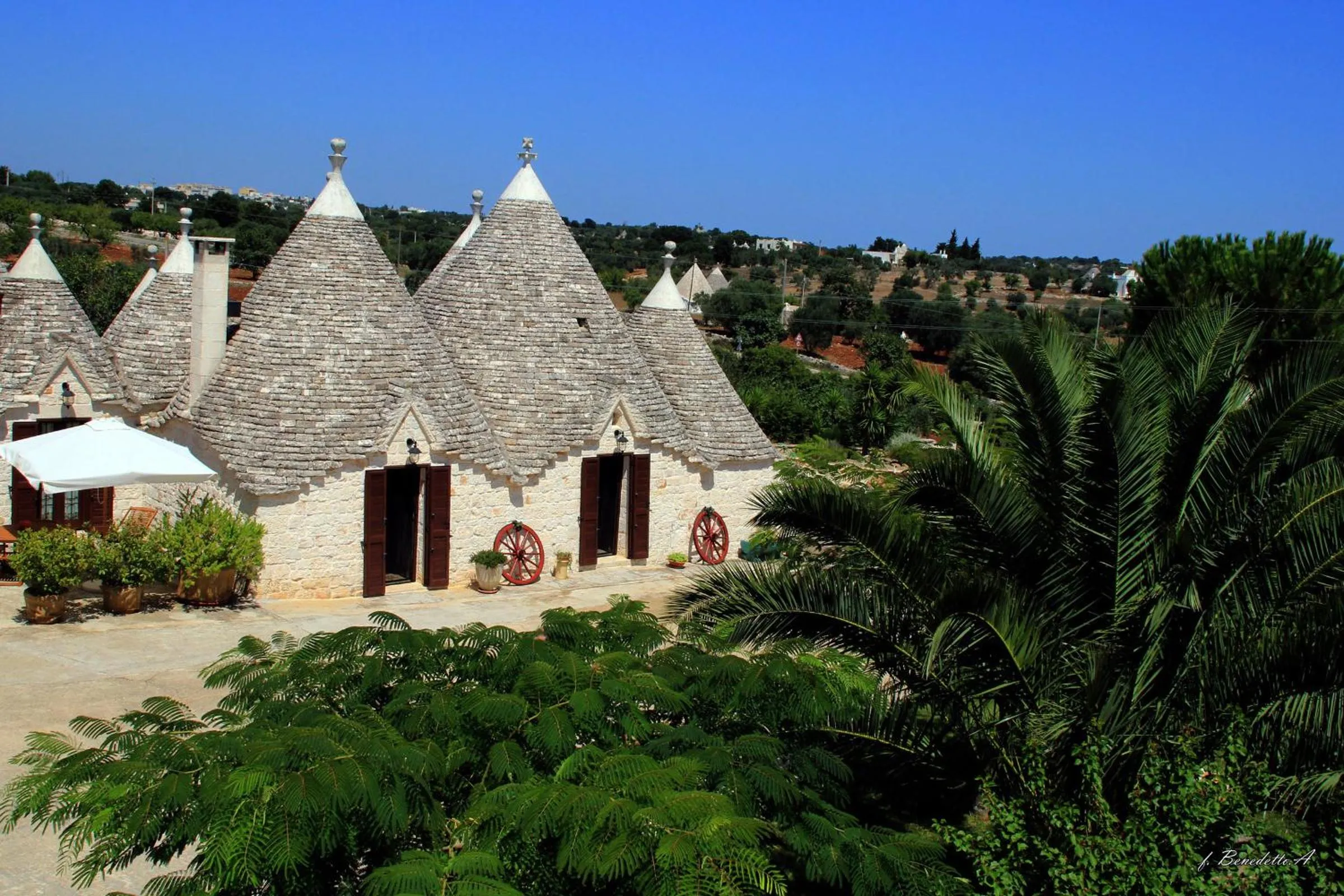Bird's eye view in Masseria Peppeturro