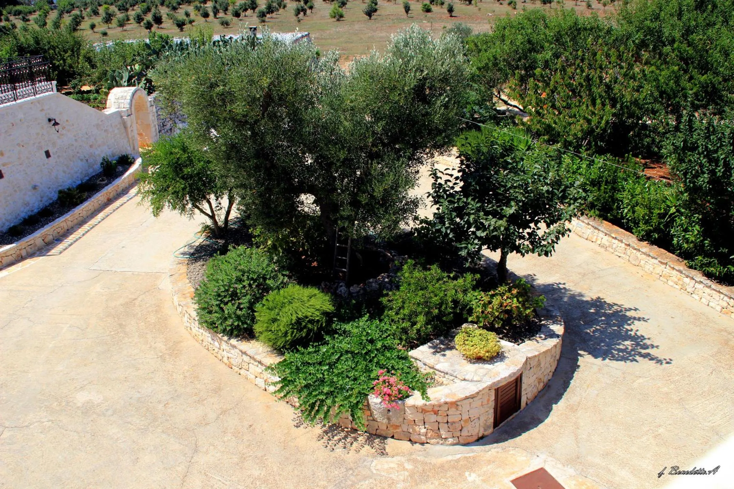 Bird's eye view in Masseria Peppeturro