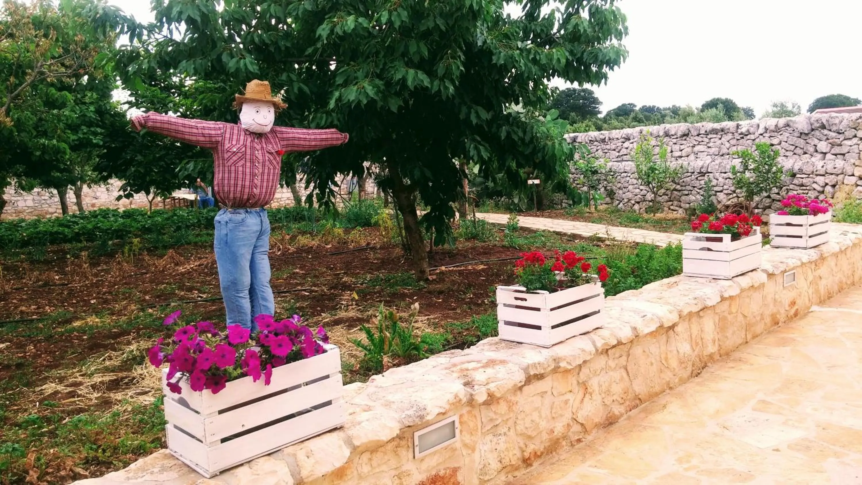 Floor plan in Masseria Peppeturro