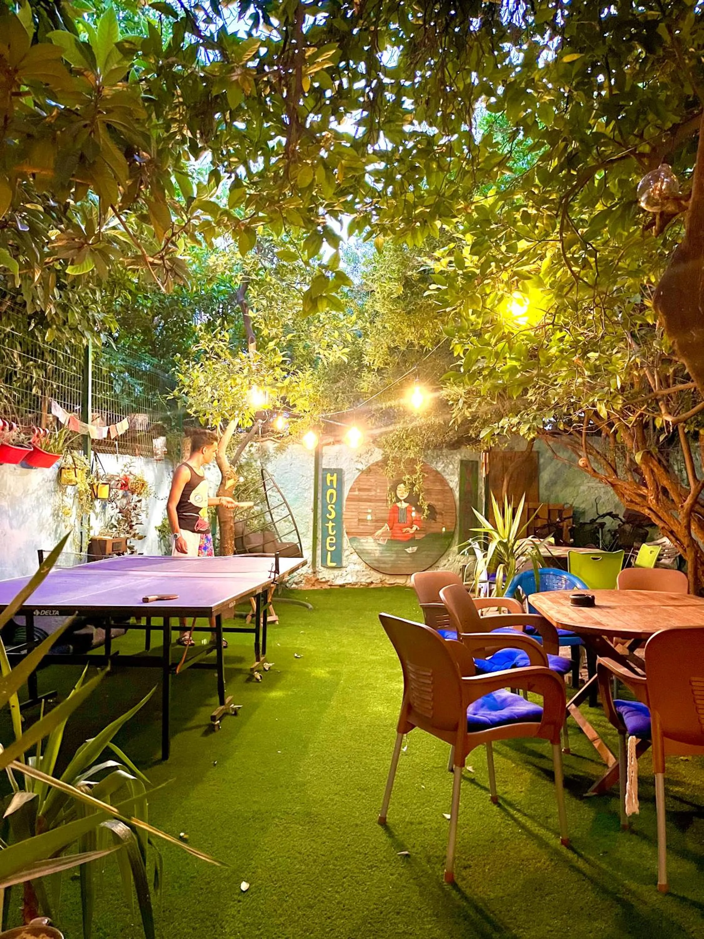 Garden in hostel vague