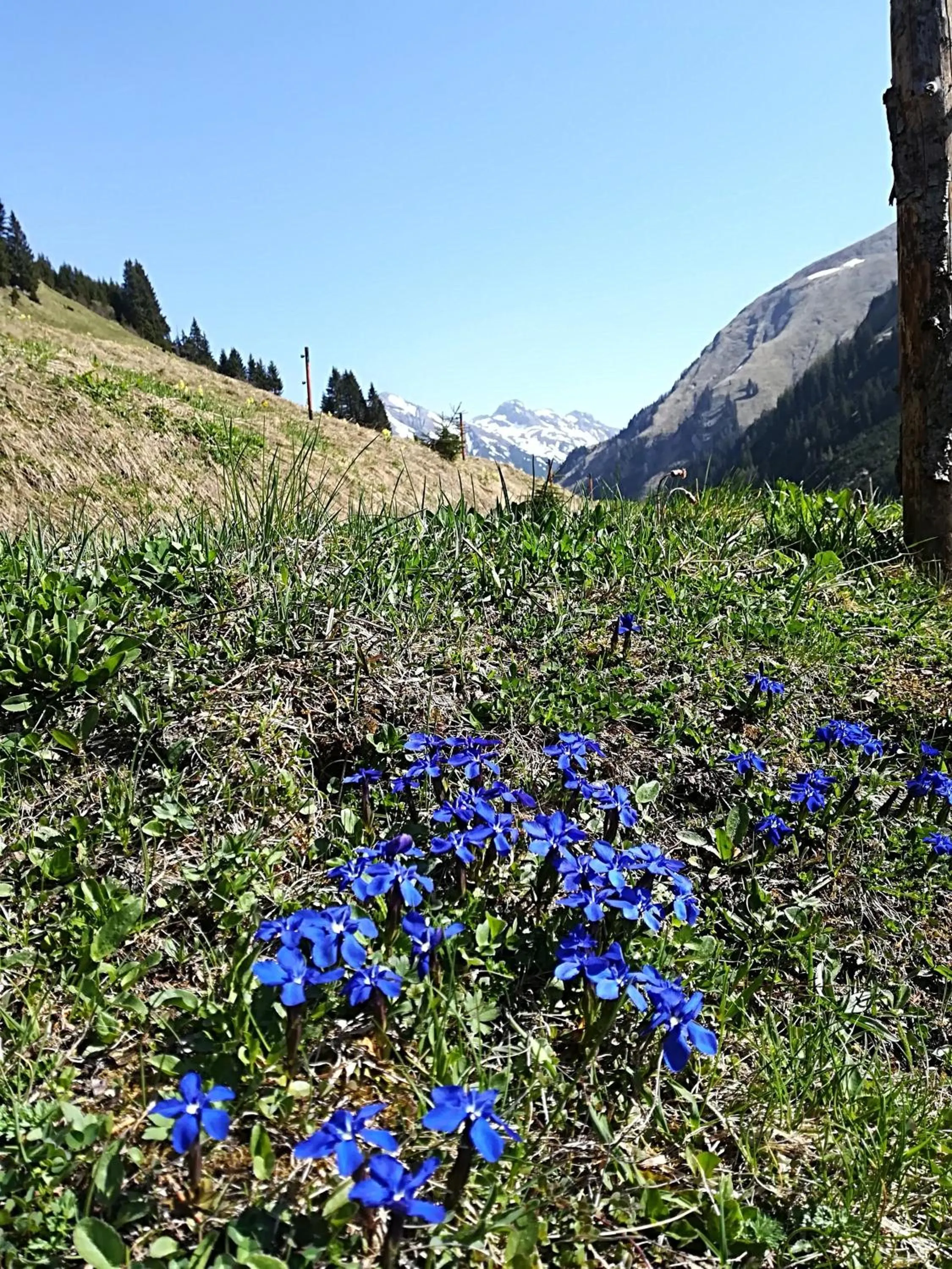 Natural landscape in Appartement Ambrosius