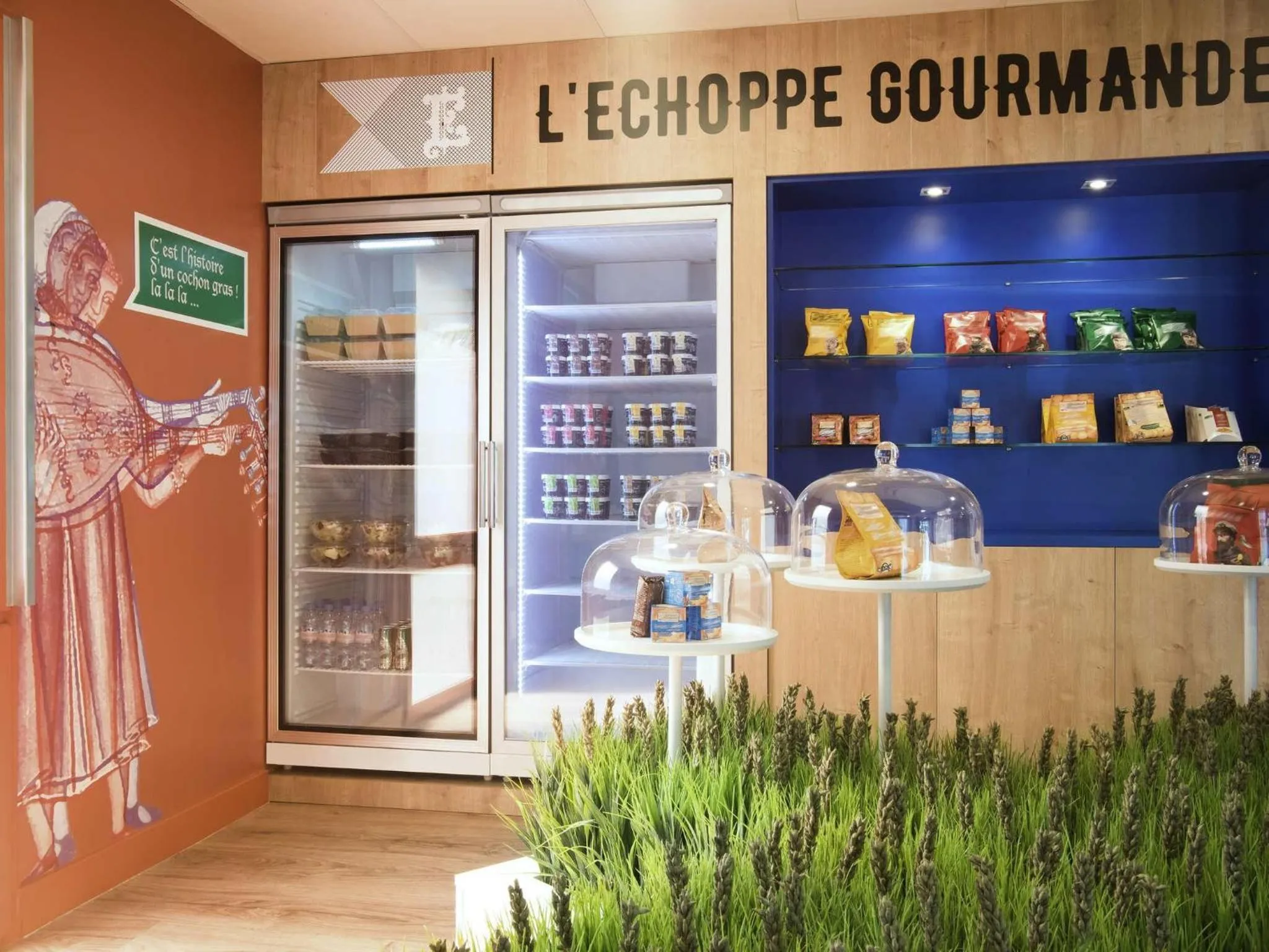 Other in ibis Styles Carcassonne La Cité