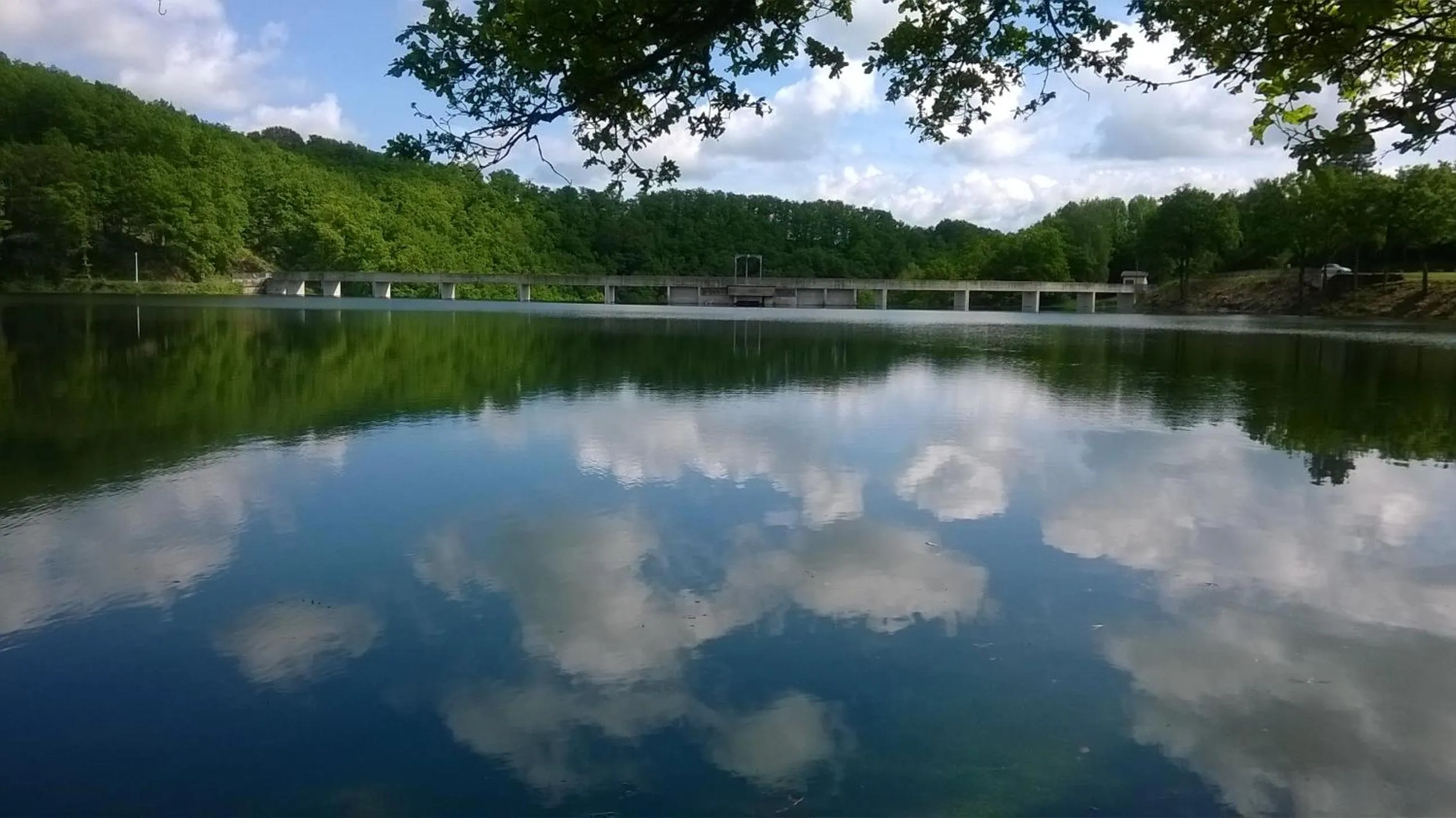 Activities in Logis Hotel Restaurant des Voyageurs