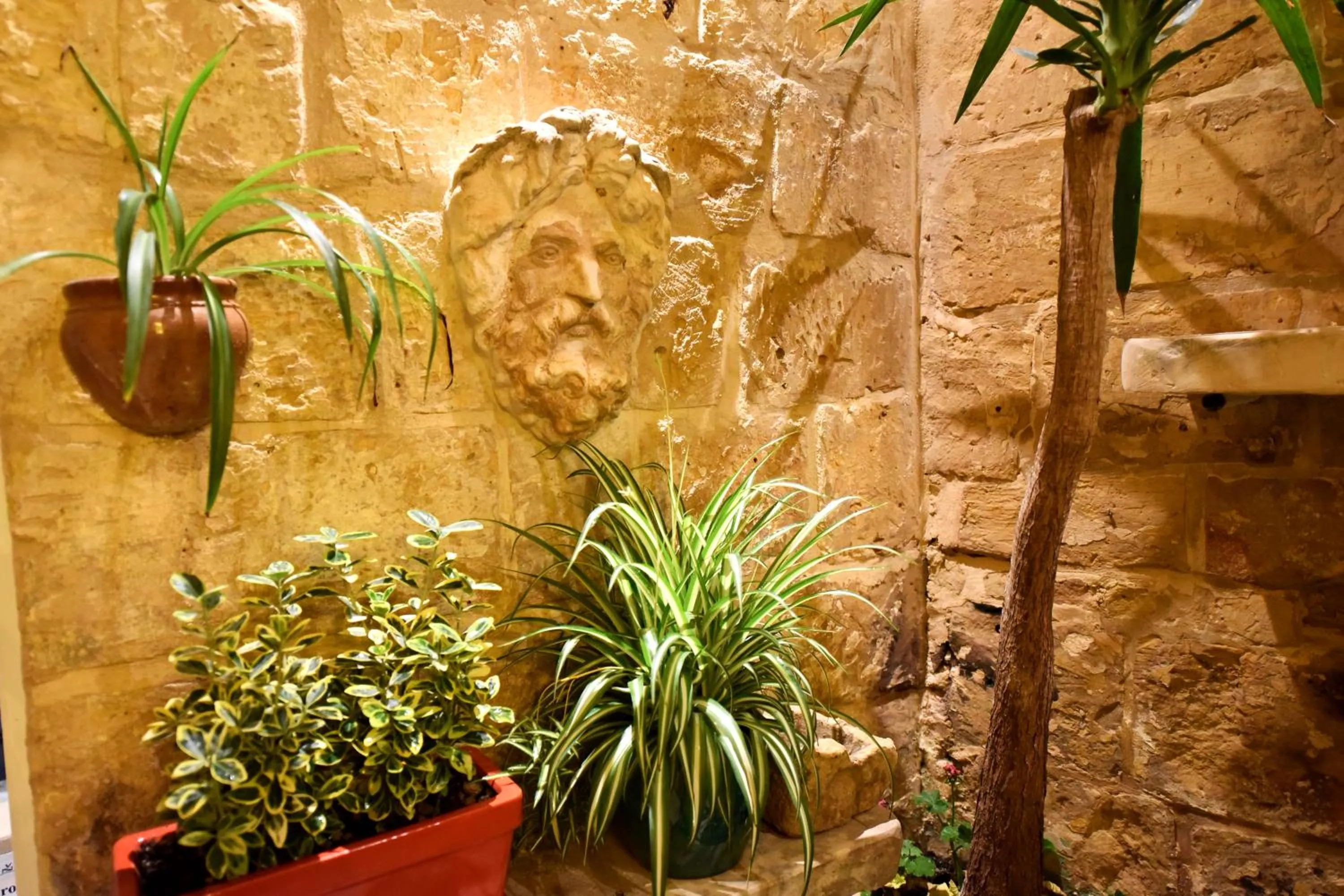 Property building in The Lodge