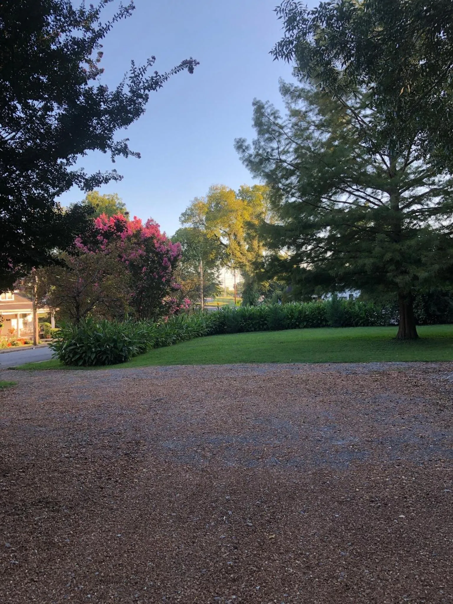 Natural landscape in Belmont Inn