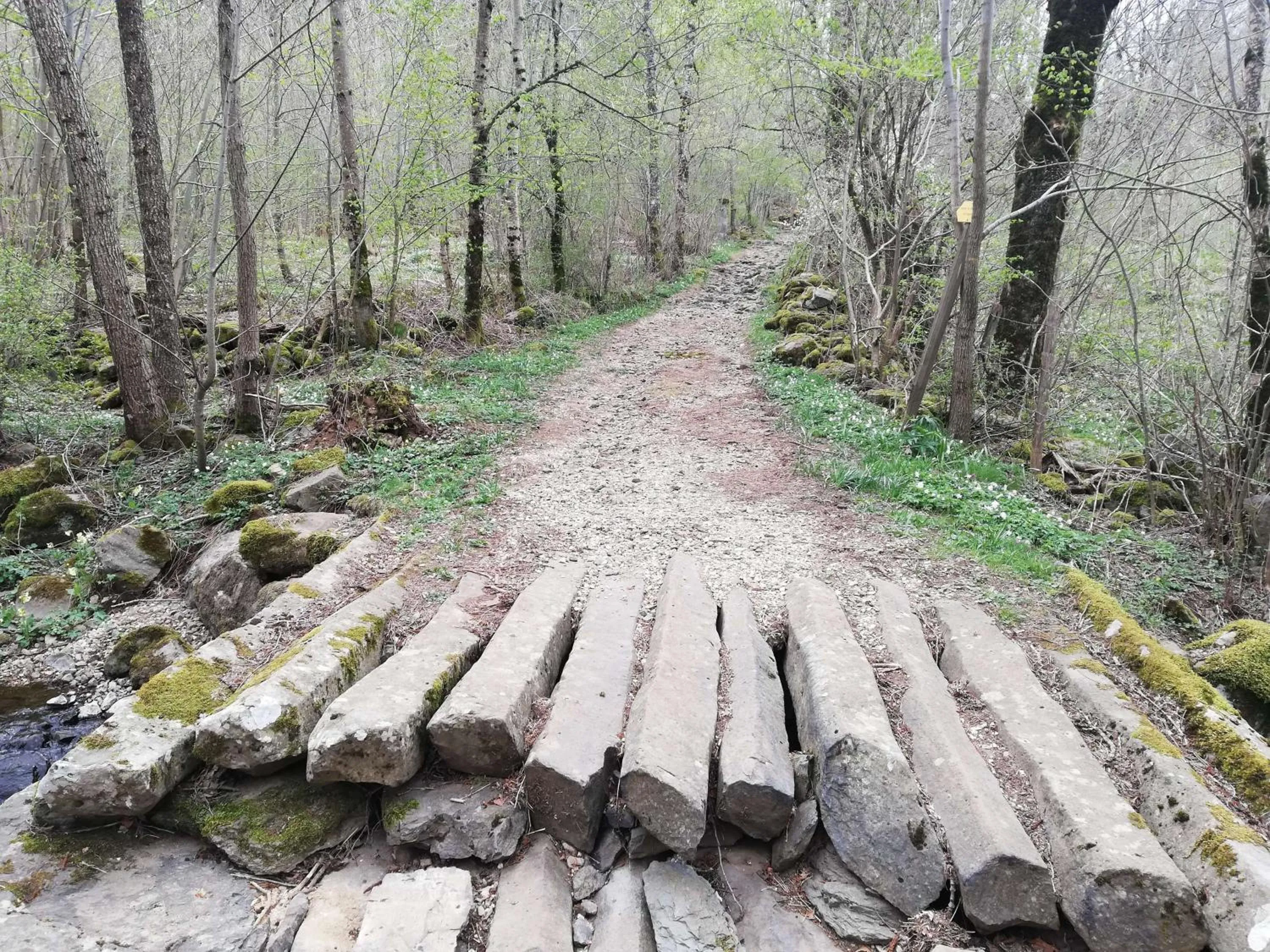 Off site in Best Western Le Relais de Laguiole Hôtel & Spa