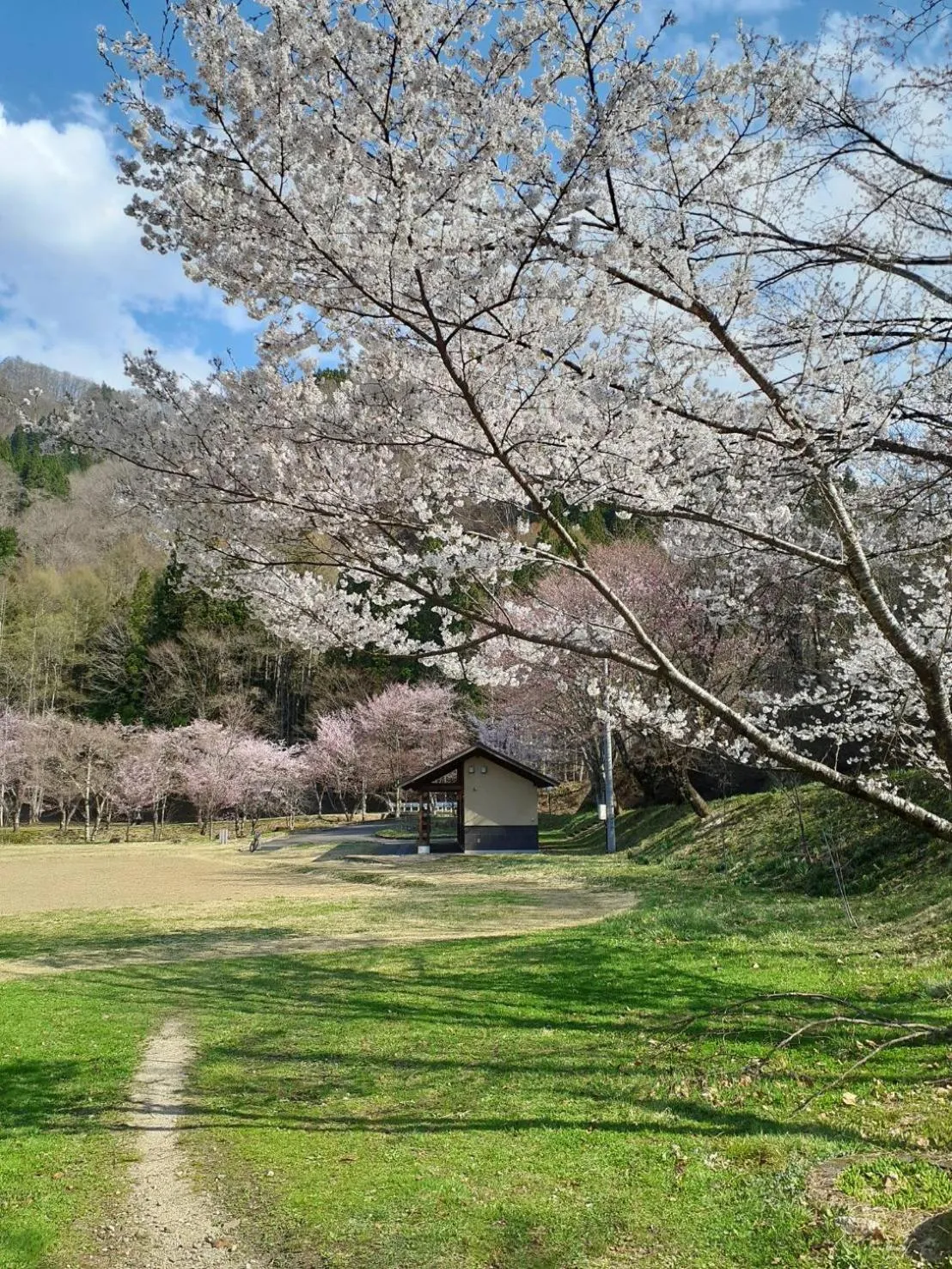 HAKUBA IKEDA LIFE KAN APARTMENTS