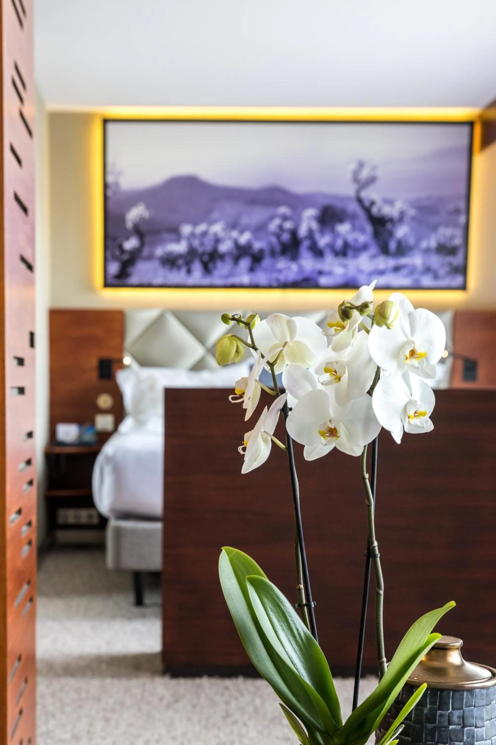 Decorative detail, Bed in Thalazur Bandol Ile Rousse - Hôtel & Spa