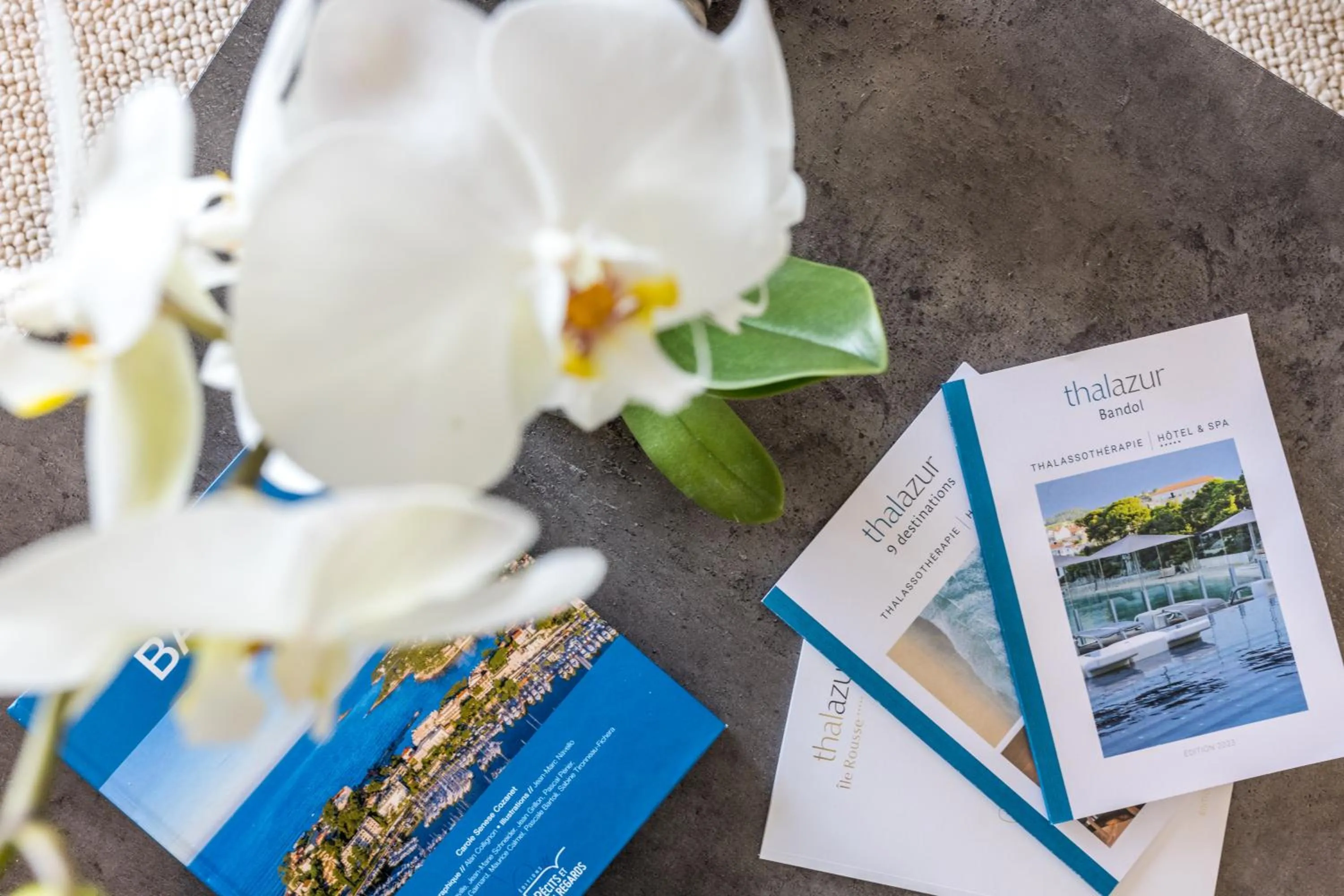 Decorative detail in Thalazur Bandol Ile Rousse - Hôtel & Spa