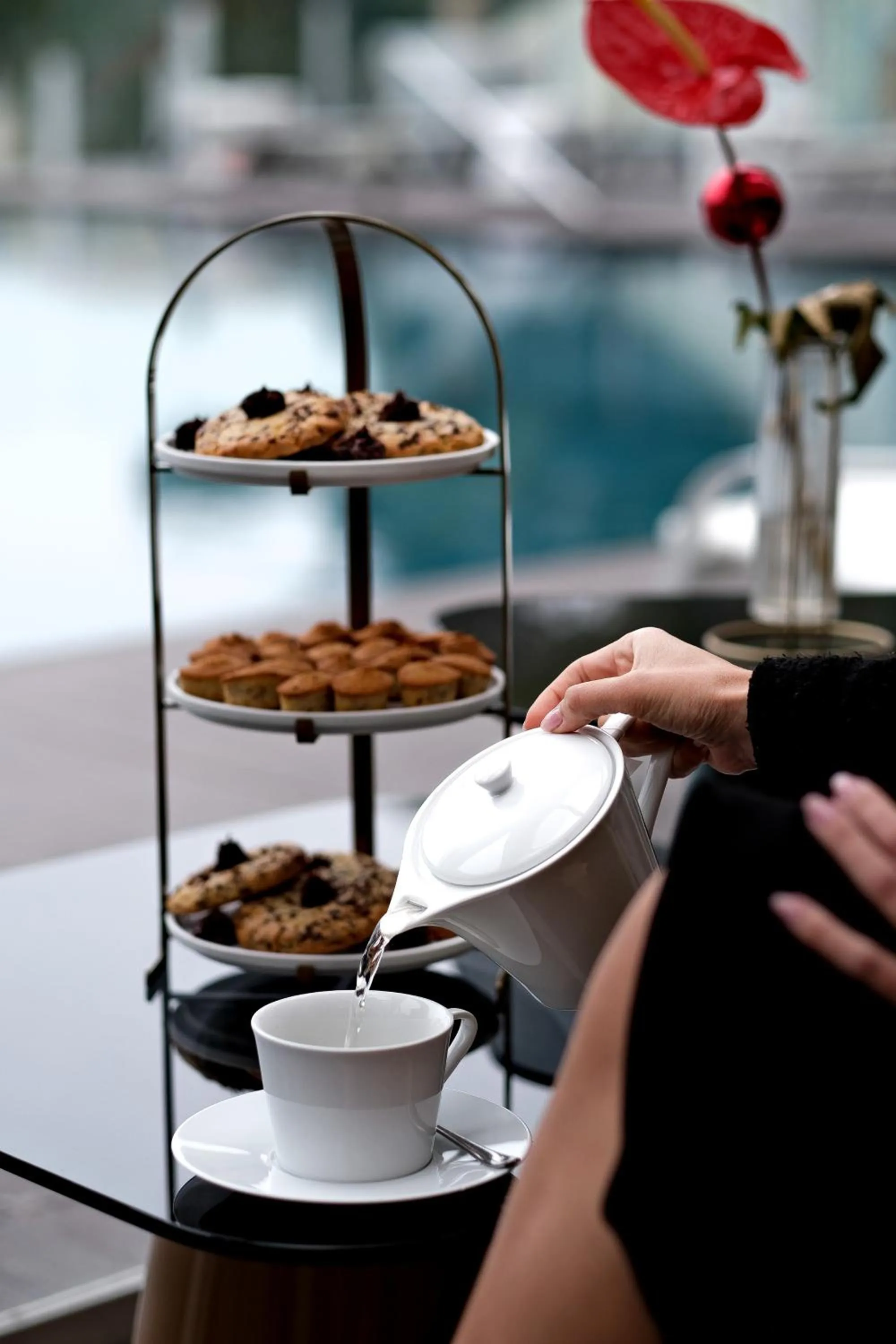 Restaurant/places to eat in Thalazur Bandol Ile Rousse - Hôtel & Spa