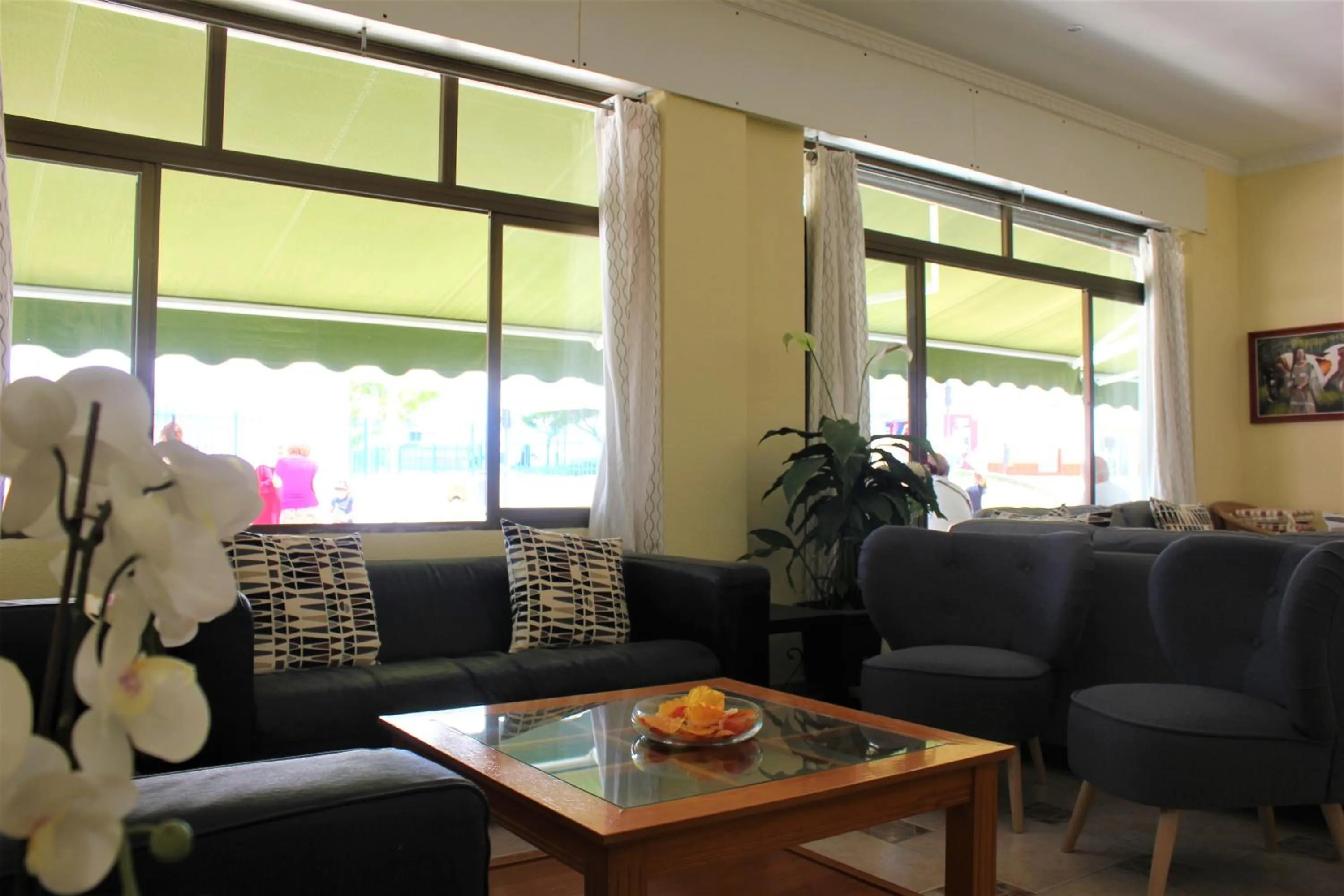 Lounge or bar in Hotel Cabello