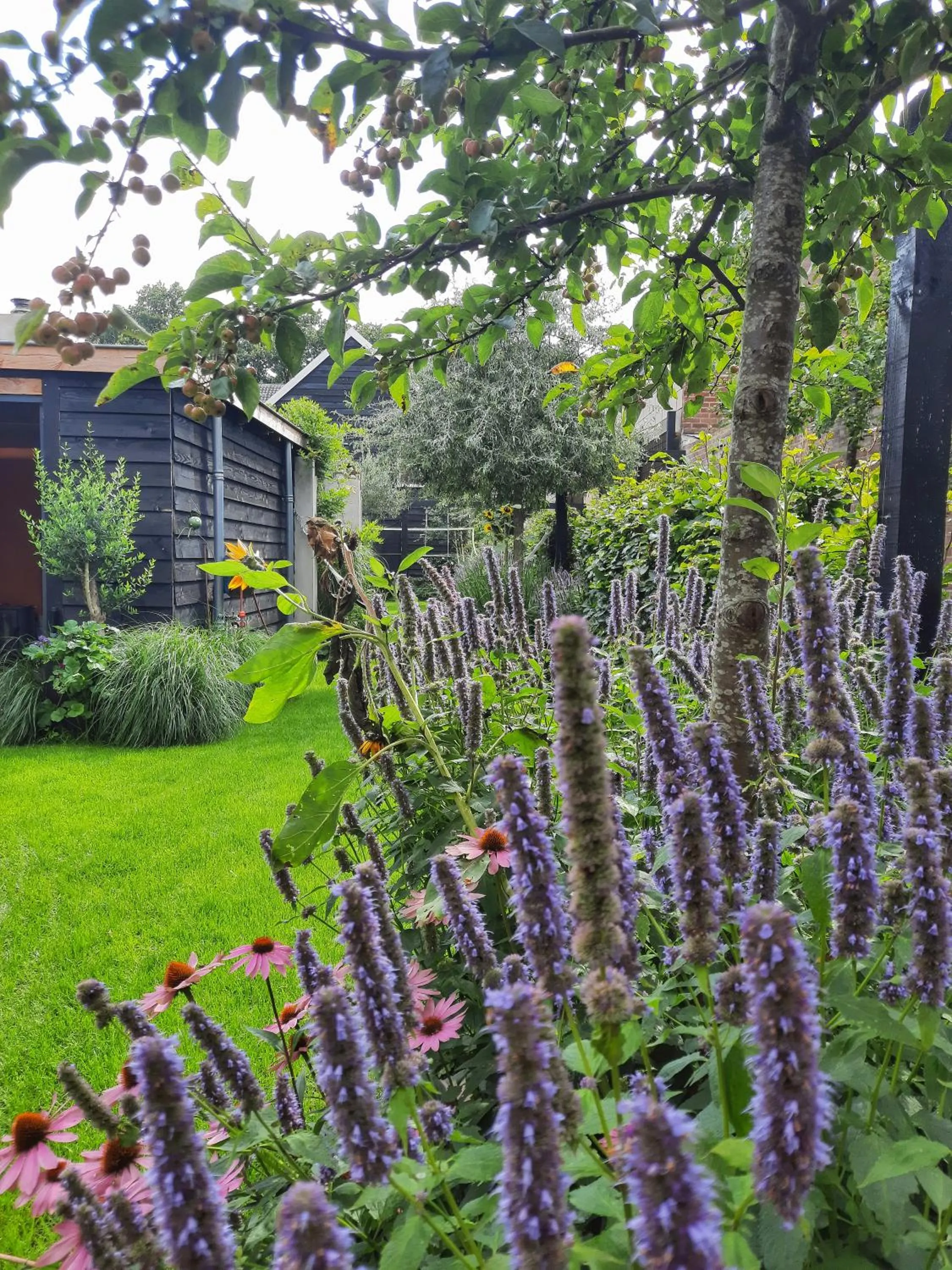 Garden in Inn the Green