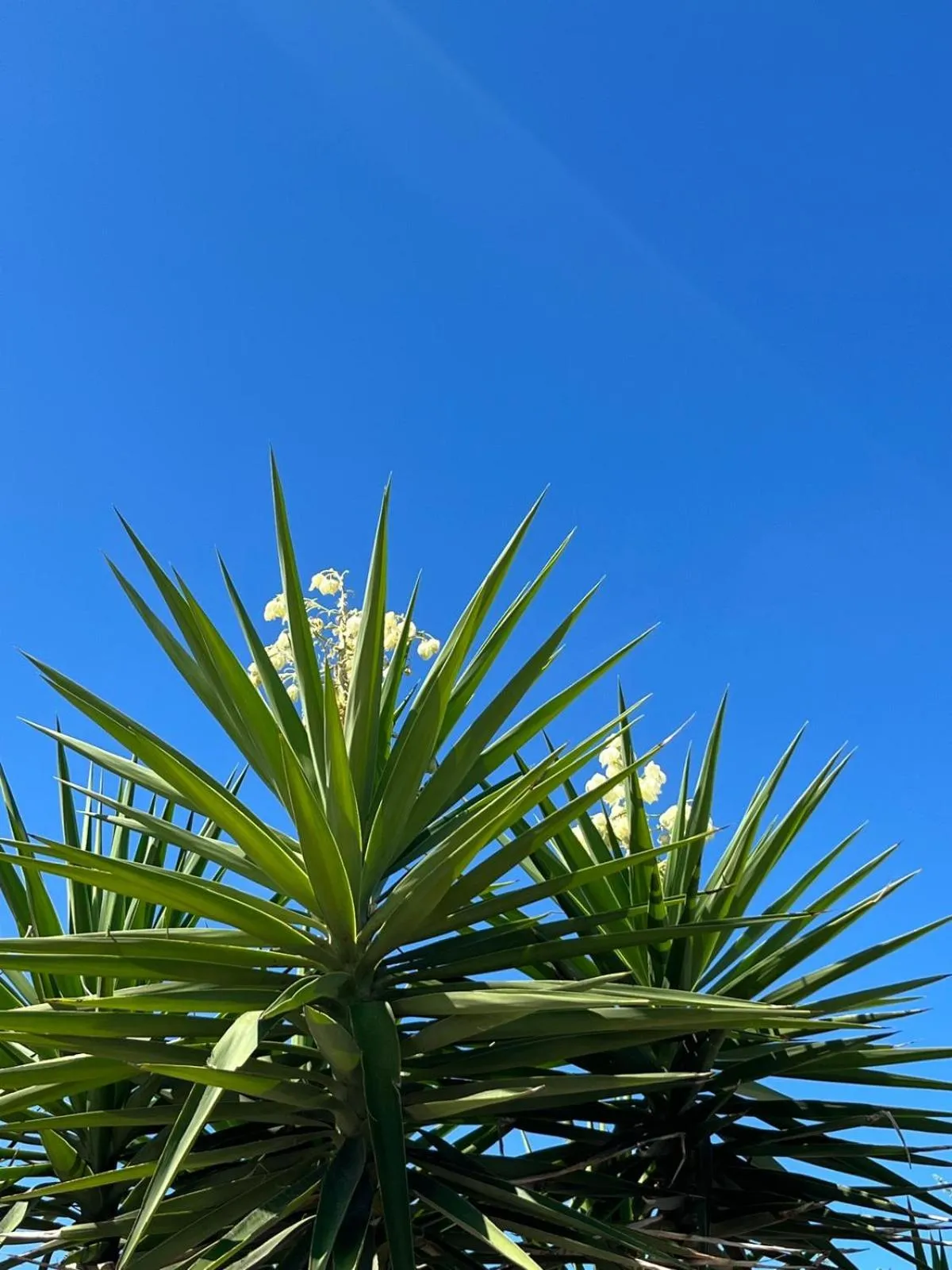 Le Finestre Su Porta Carrese - Luxury Rooms