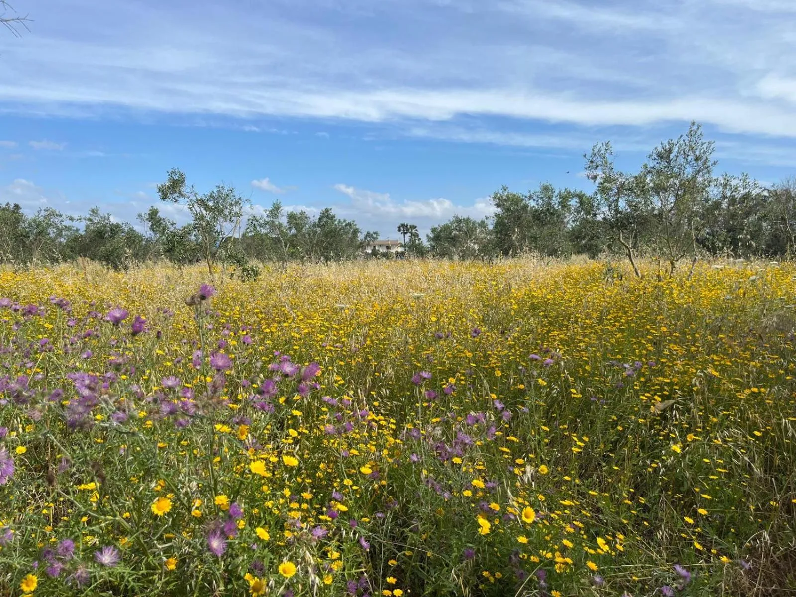 Le Finestre Su Porta Carrese - Luxury Rooms