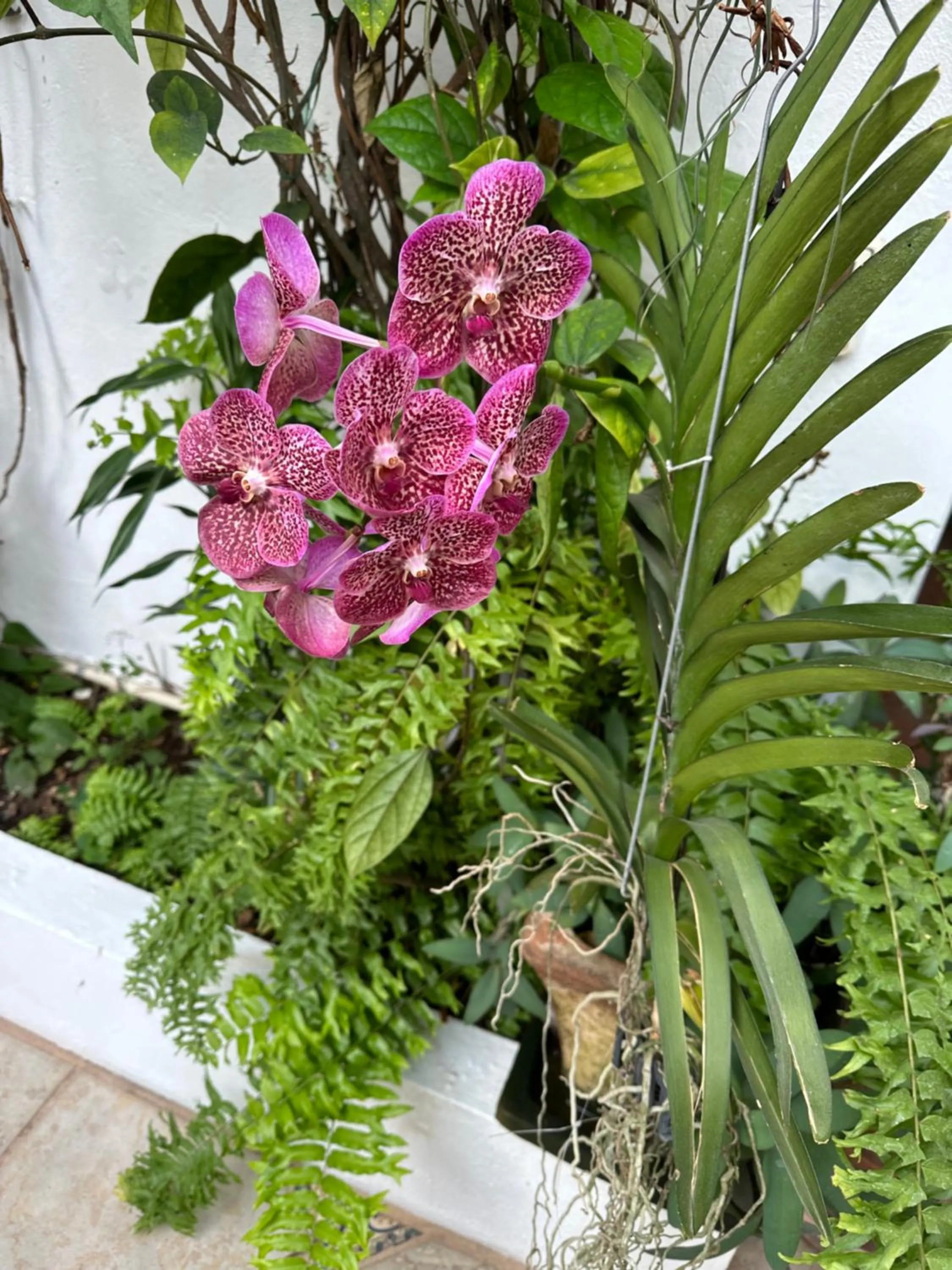 Casa Romance Escondido