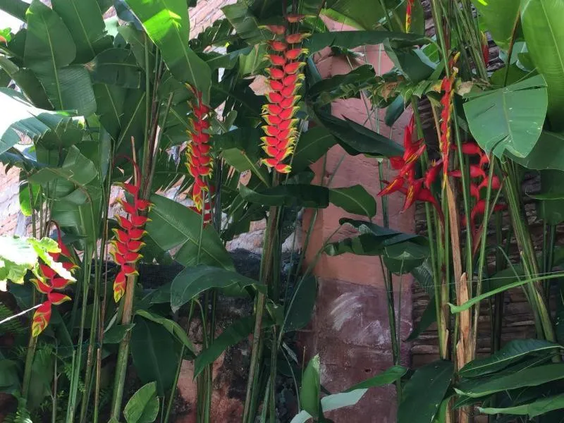 Casa Romance Escondido