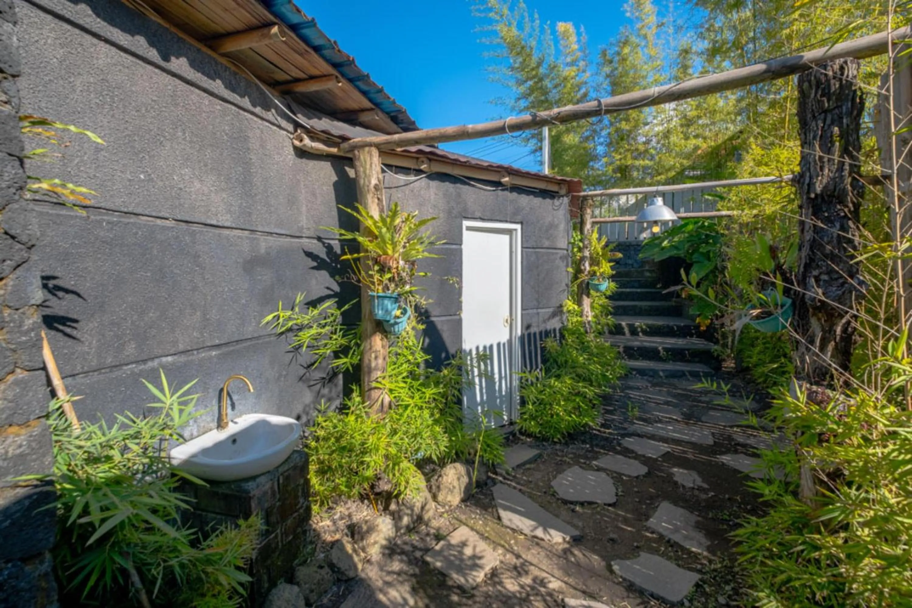 Spring in Bamboo Mount Batur and Hot Spring