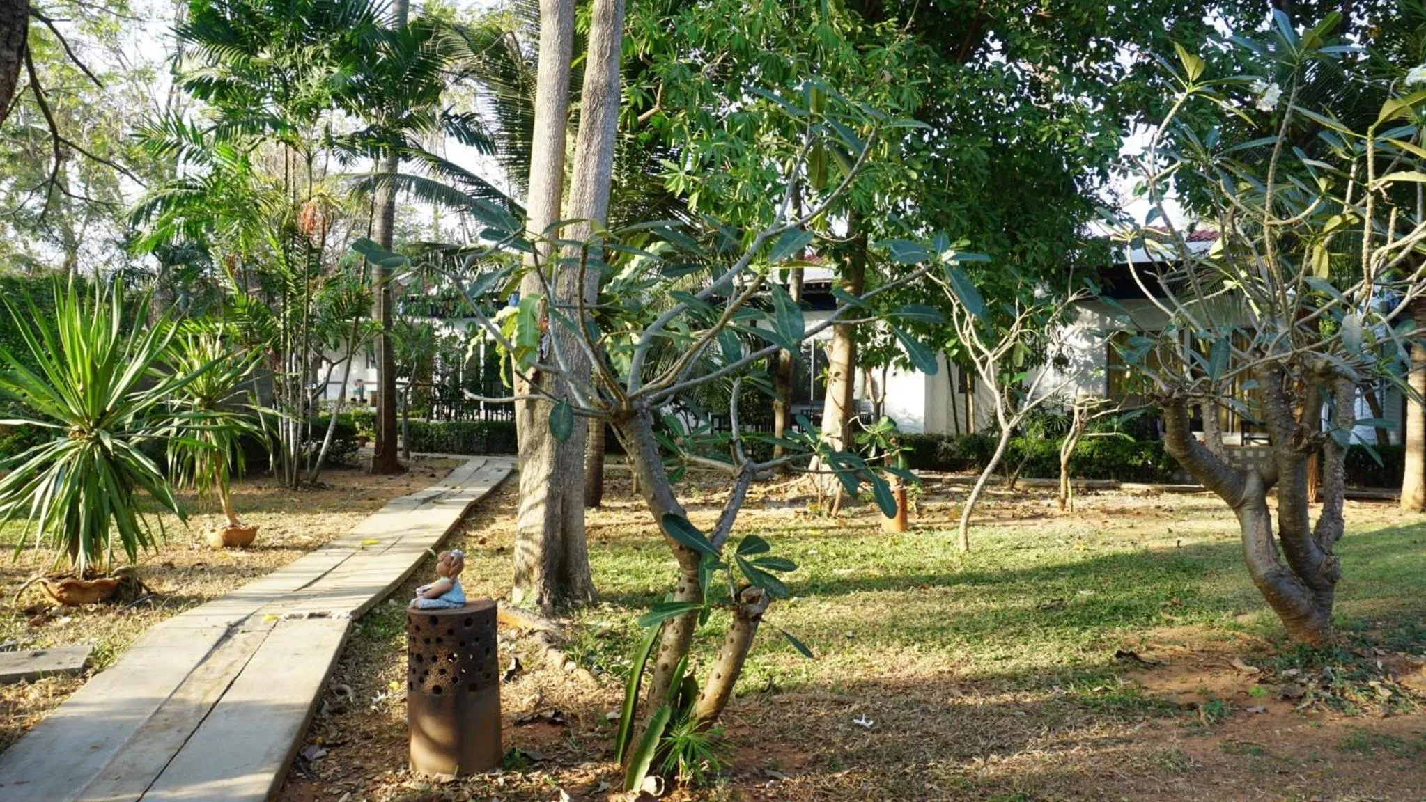 Garden in Kalamona Seaview