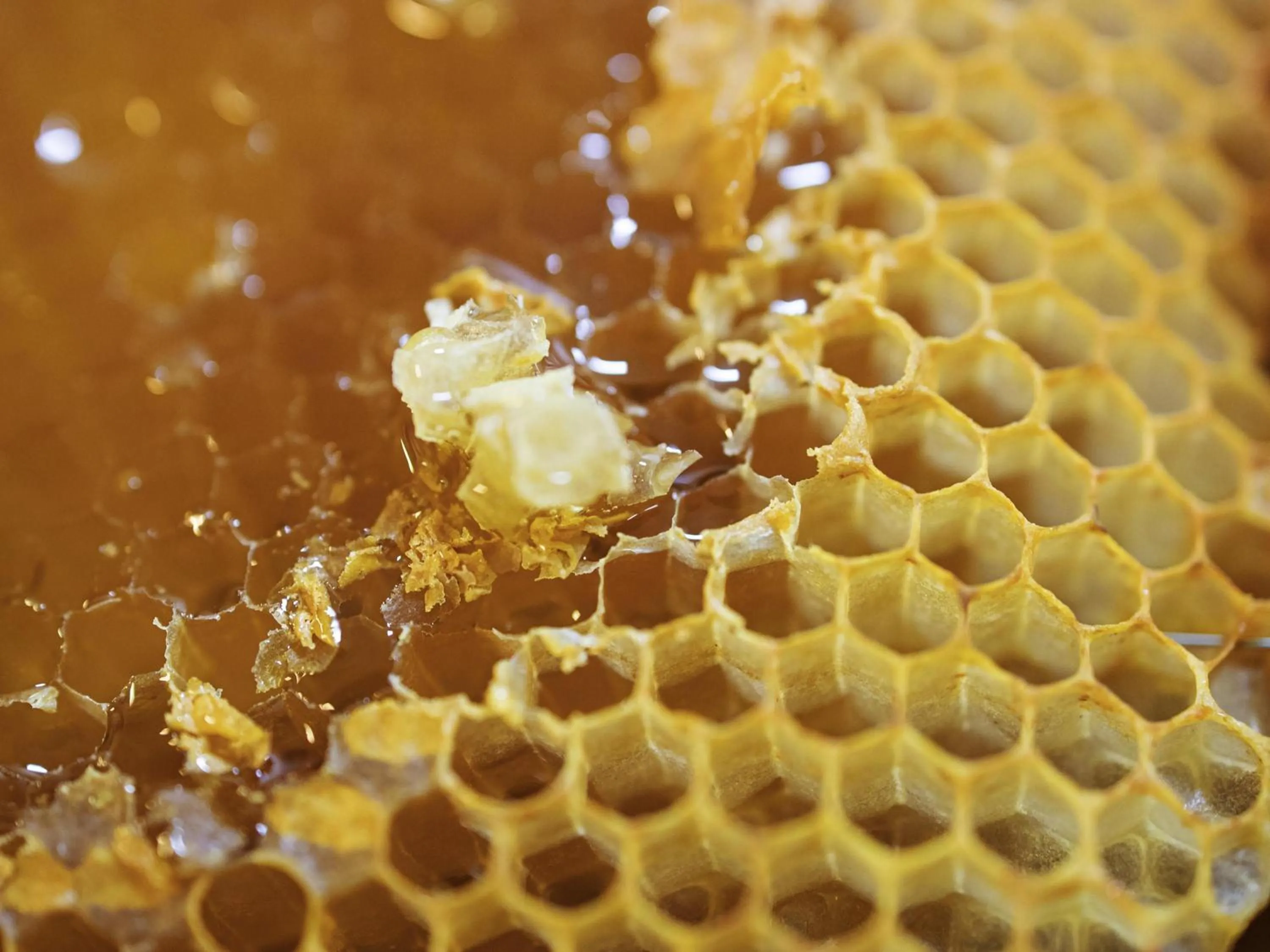 Other in greet Hotel Marseille Provence Aéroport