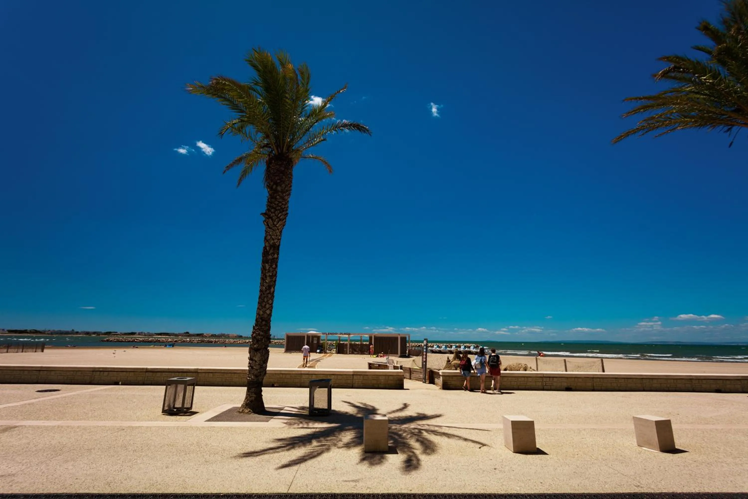 On site in Hôtel Restaurant Splendid Camargue