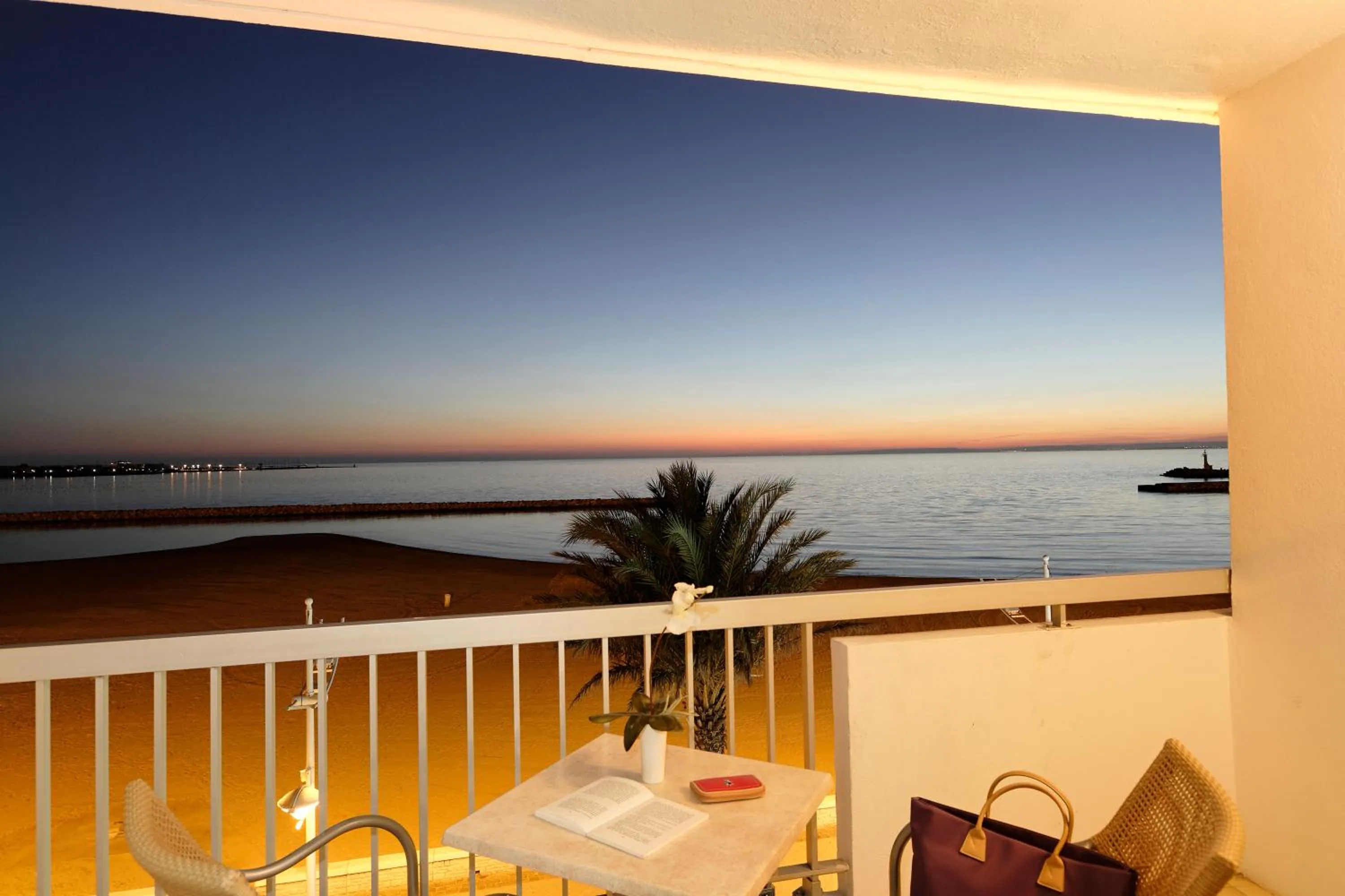 View (from property/room) in Hôtel Restaurant Splendid Camargue