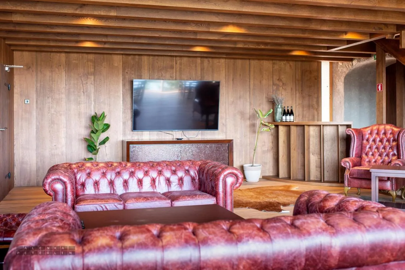 Communal lounge/ TV room in Vinica Castle Boutique & Spa Hotel